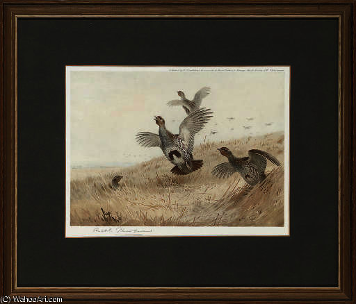 Partridge Taking Off; And Foraging Grouse — Archibald Thorburn