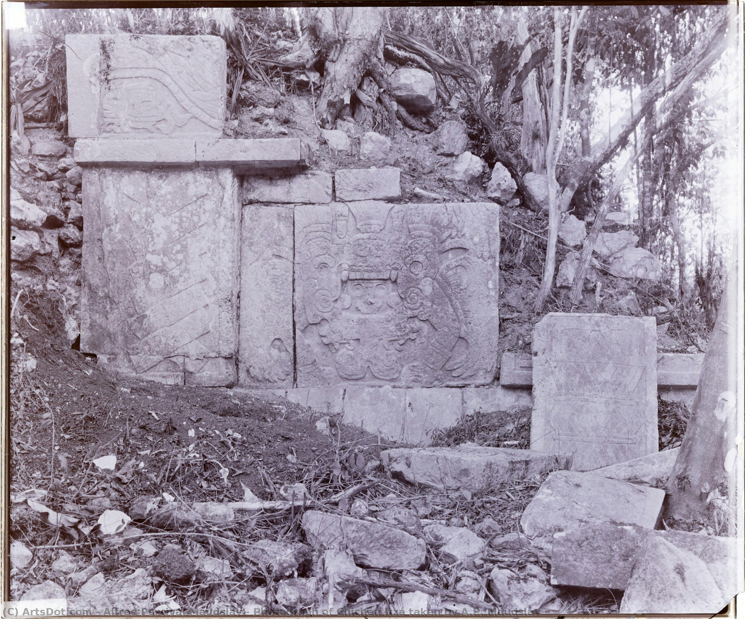 Photograph Of Chichén Itzá Taken By A.p. Maudslay — Alfred Percival Maudslay