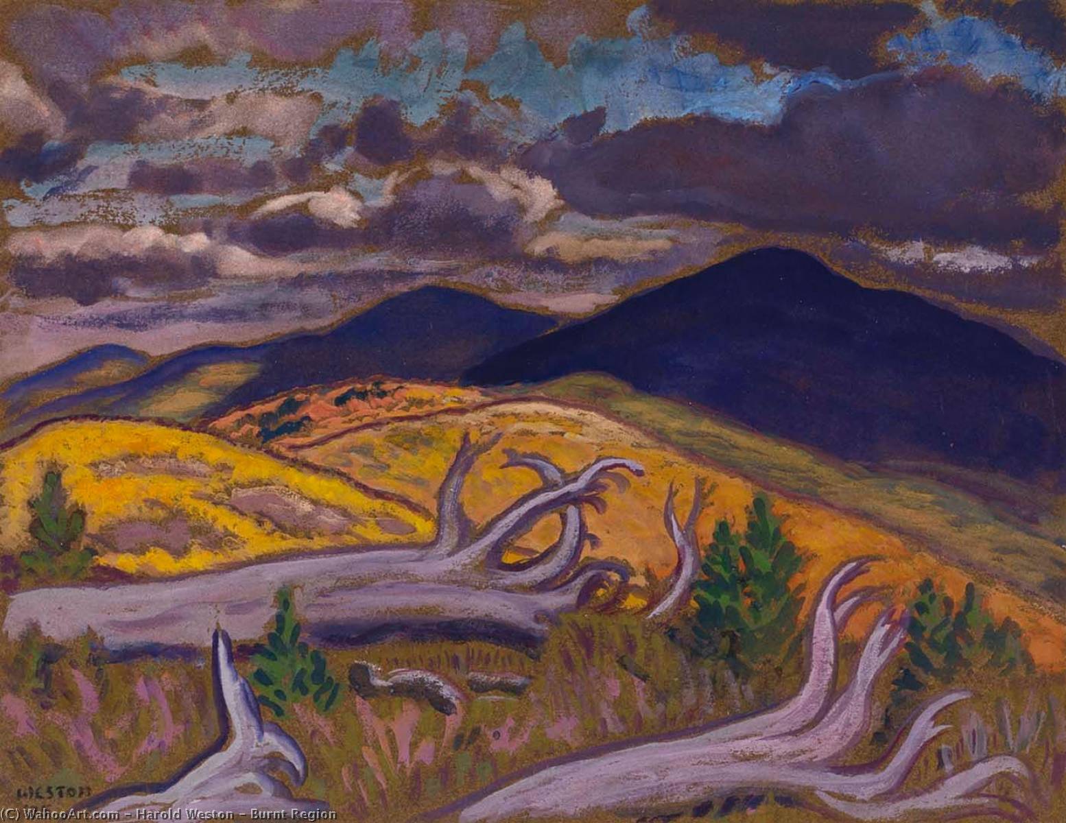 Burnt Region — Harold Weston