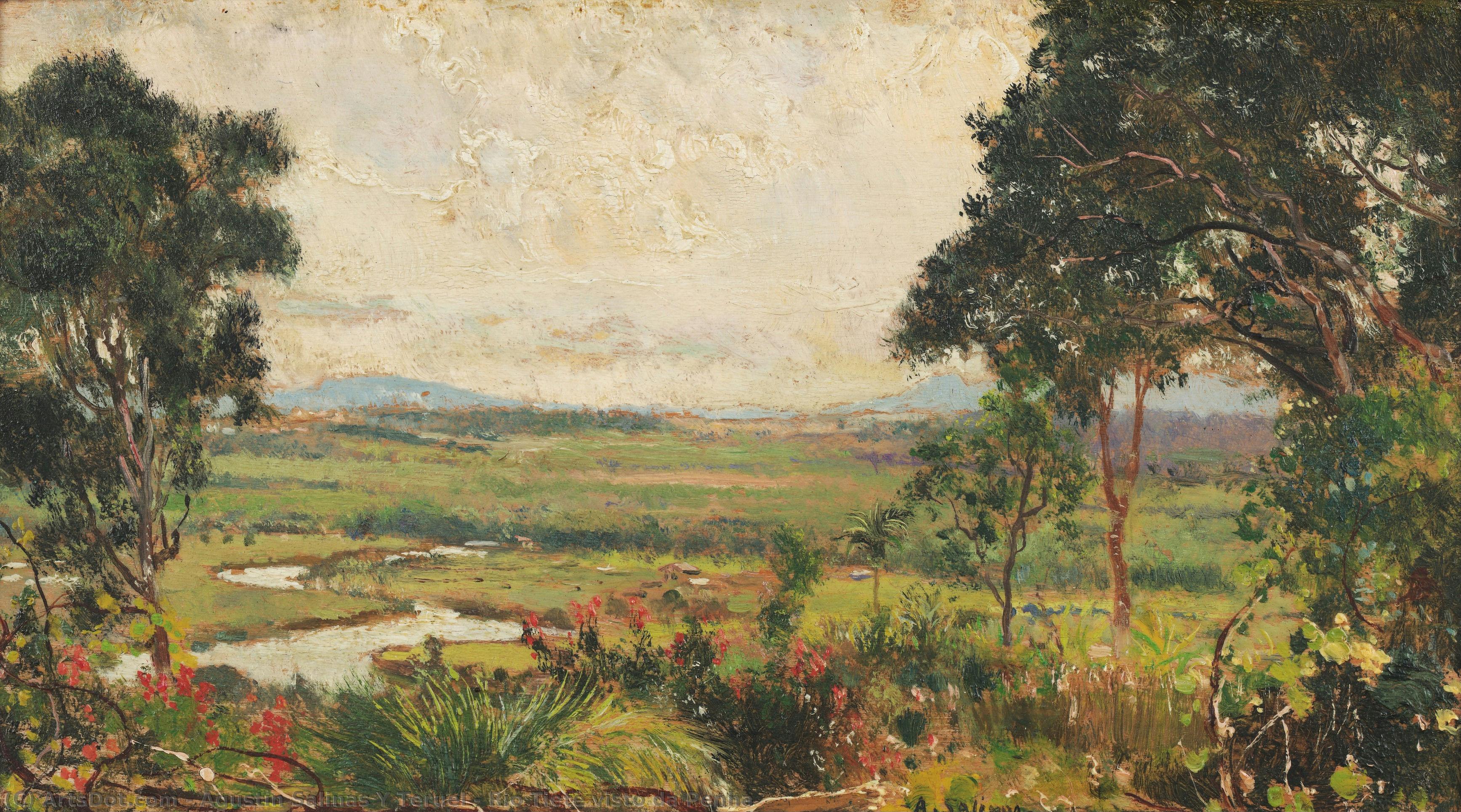 Rio Tietê Visto Da Penha — Agustín Salinas Y Teruel