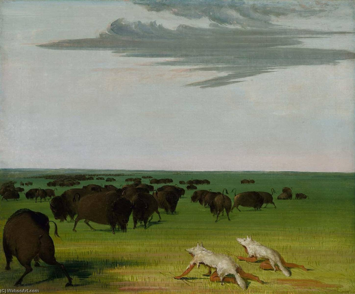 Buffalo Hunt Under The Wolf Skin Mask — George Catlin