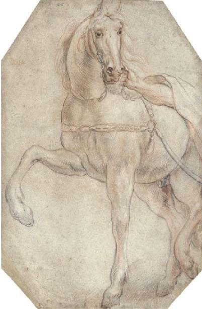 A Harnessed Horse Looking To The Right — Jacob Jordaens