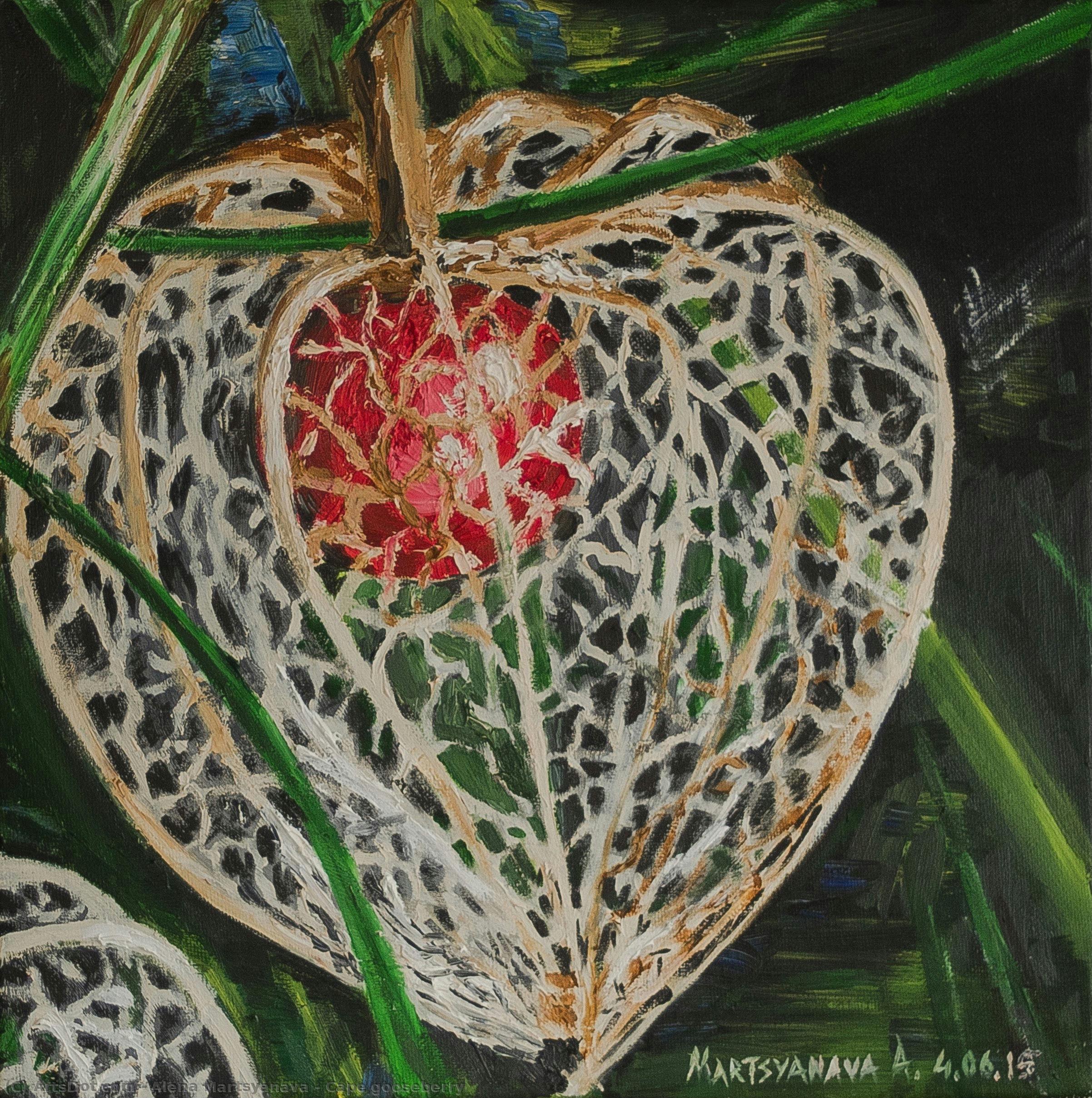 Cape Gooseberry — Alena Martsyanava