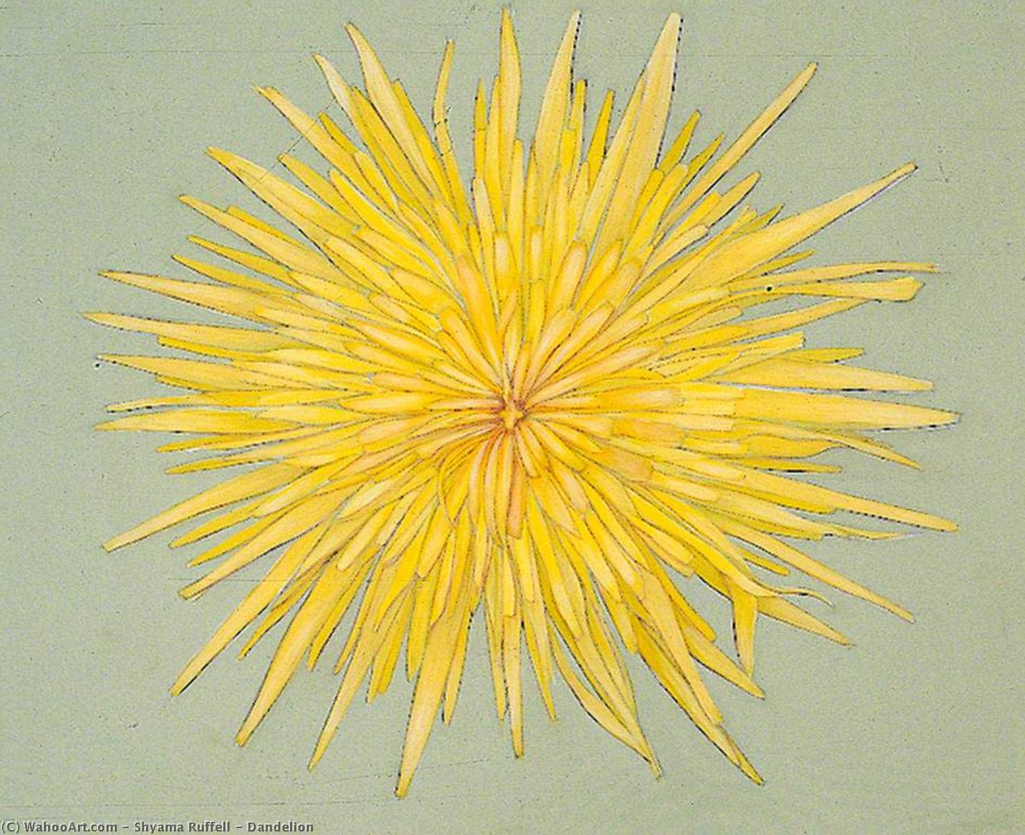 Dandelion — Shyama Ruffell