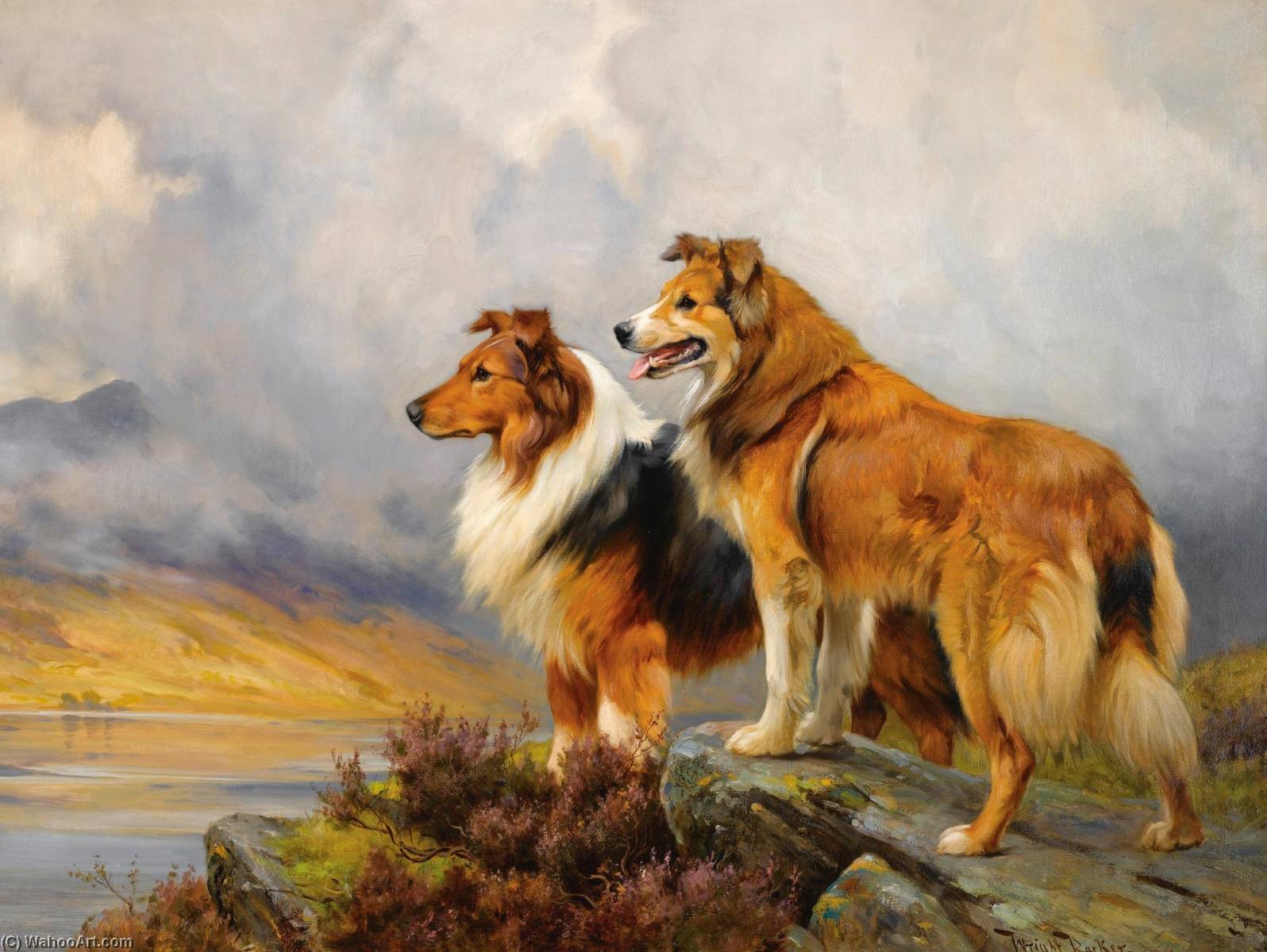 Two Collies Above A Lake — Wright Barker