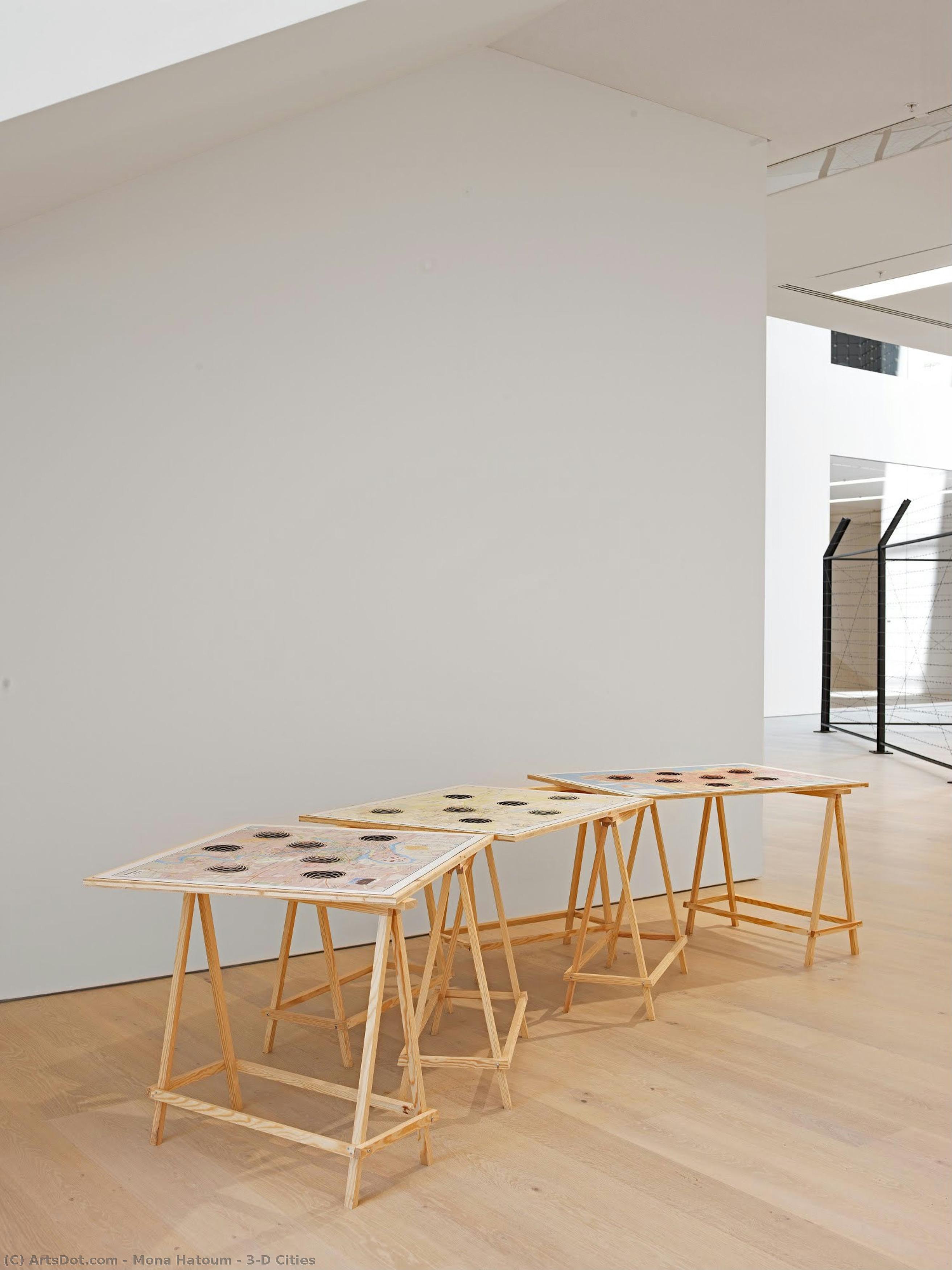 3-d Cities — Mona Hatoum