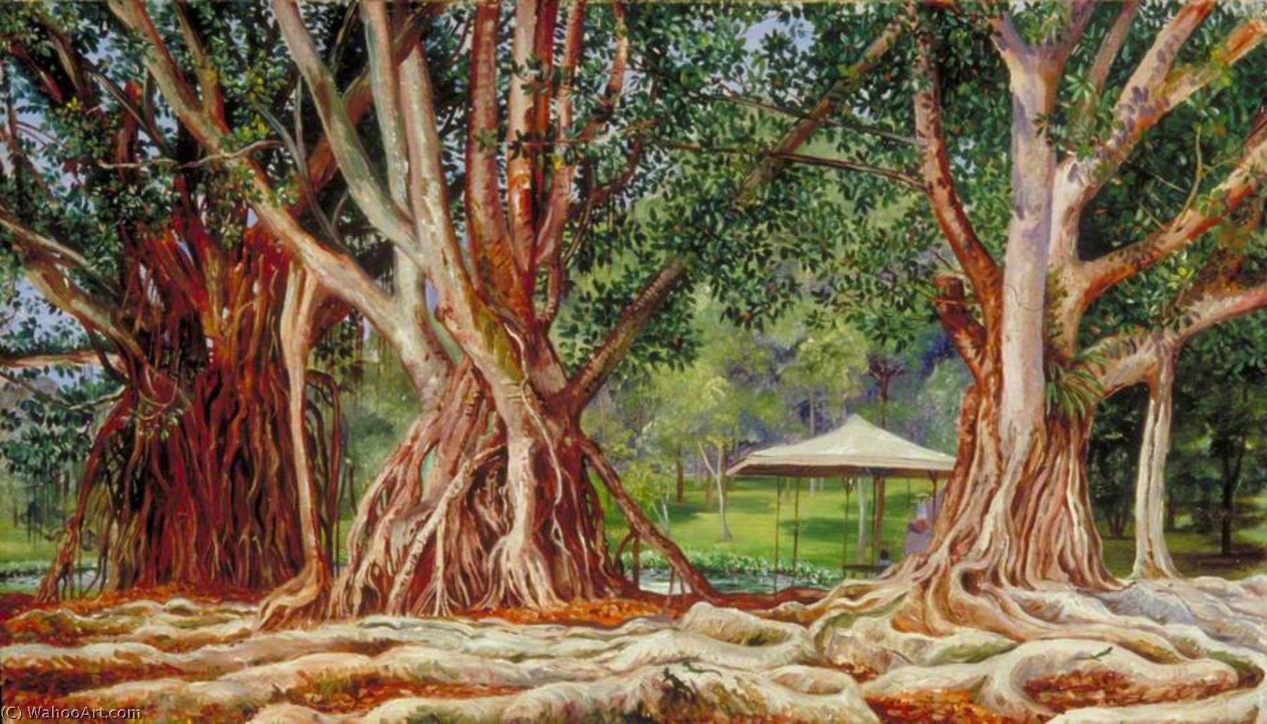 India Rubber Trees At Buitenzorg, Java — マリアン・ノース