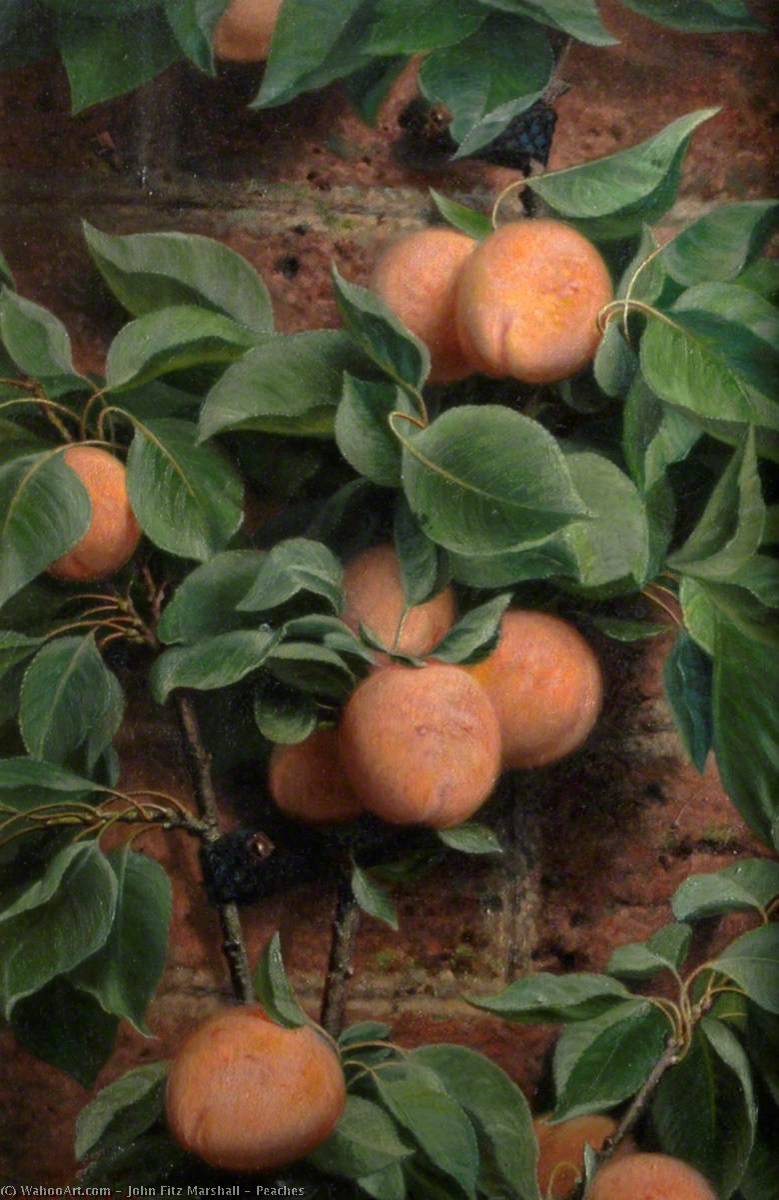 Peaches — John Fitz Marshall