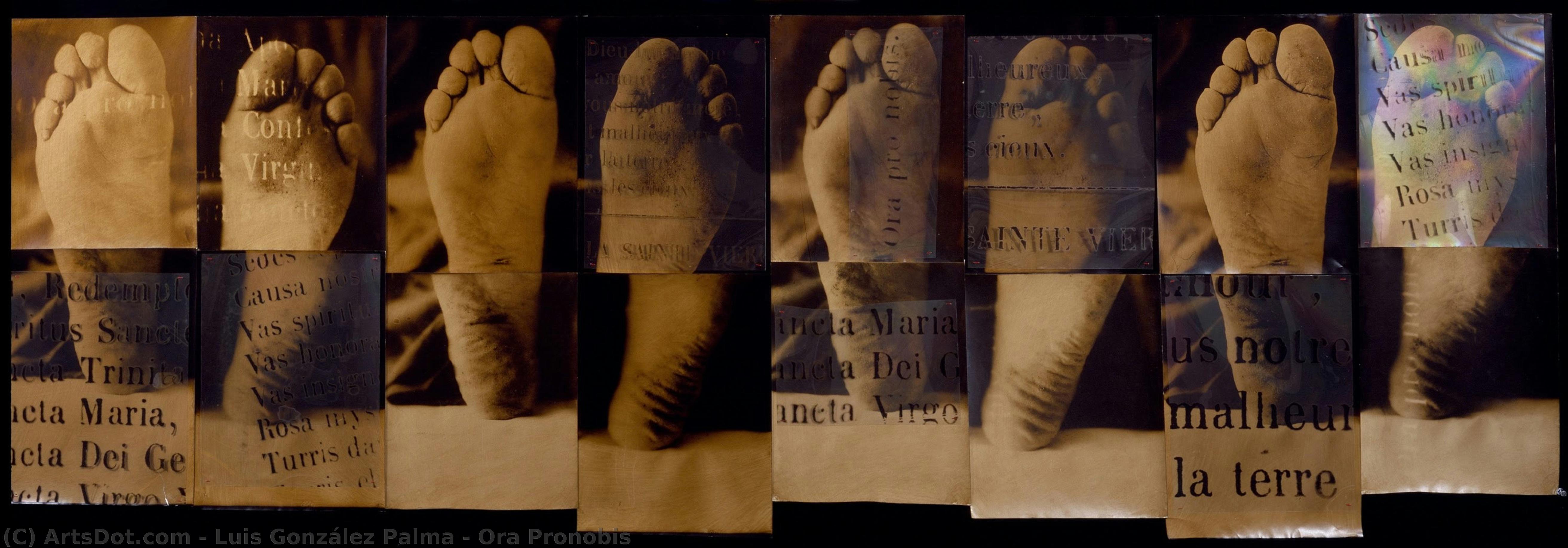 Ora Pronobis — Luis González Palma