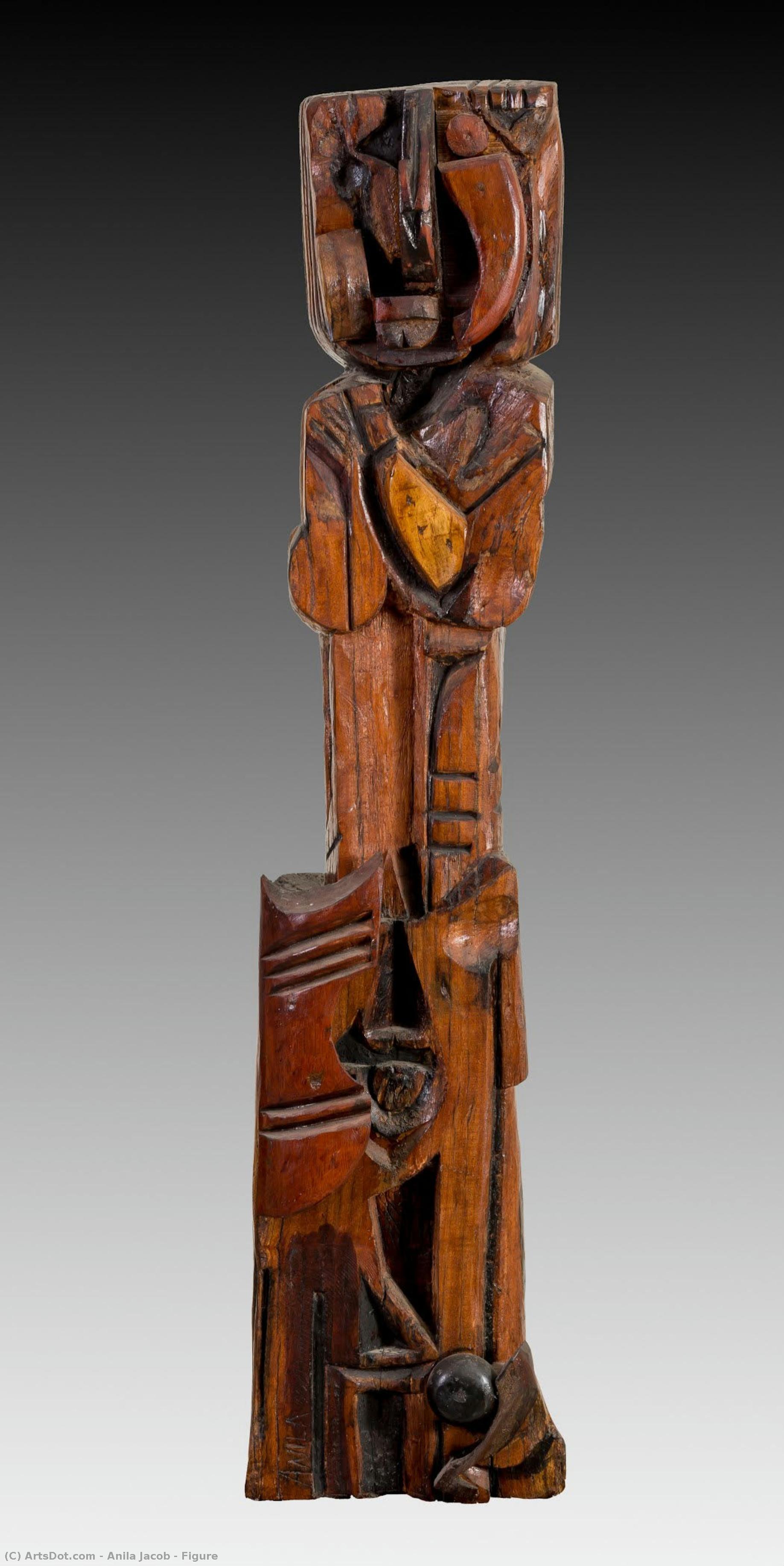 Figure — Anila Jacob