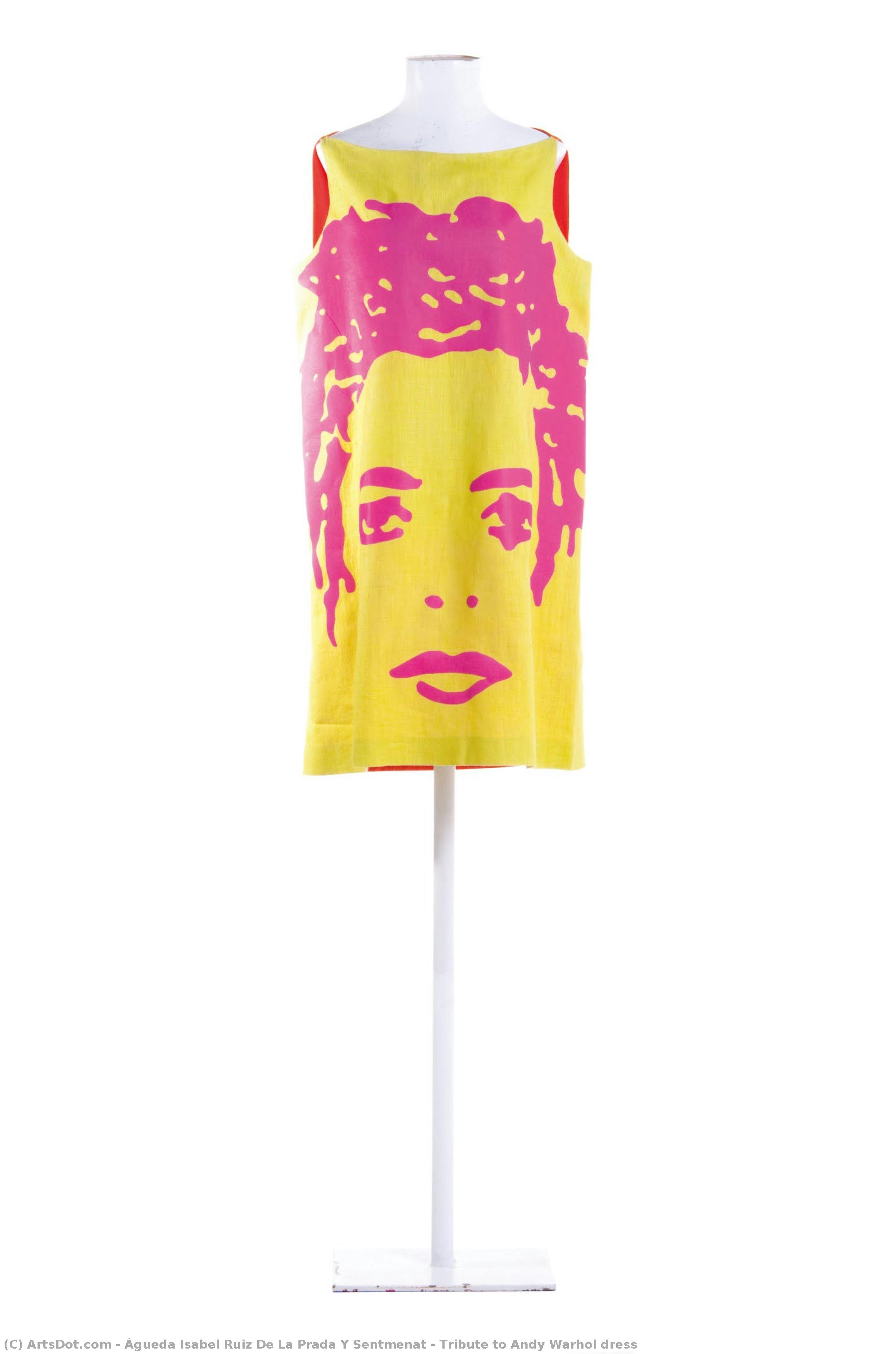 Tribute To Andy Warhol Dress — Águeda Isabel Ruiz De La Prada Y Sentmenat