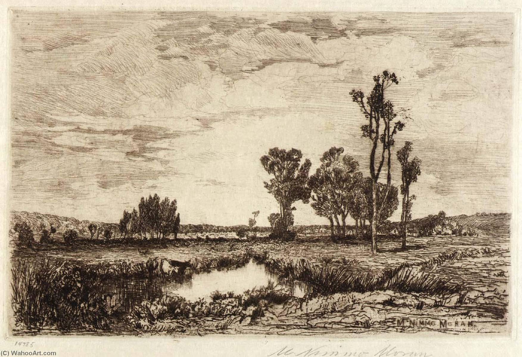 Cattle In A Pond — Mary Nimmo Moran