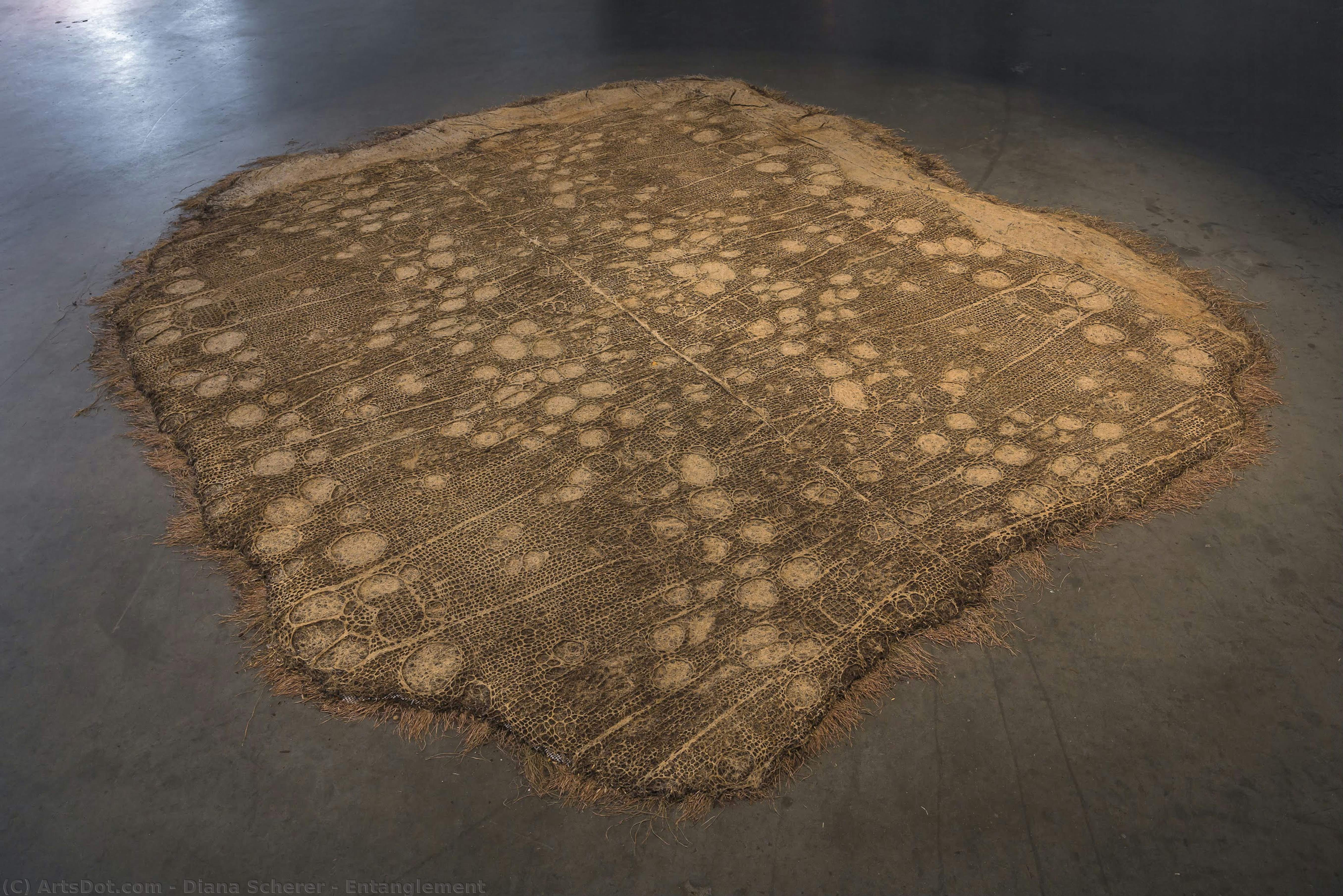 Entanglement — Diana Scherer