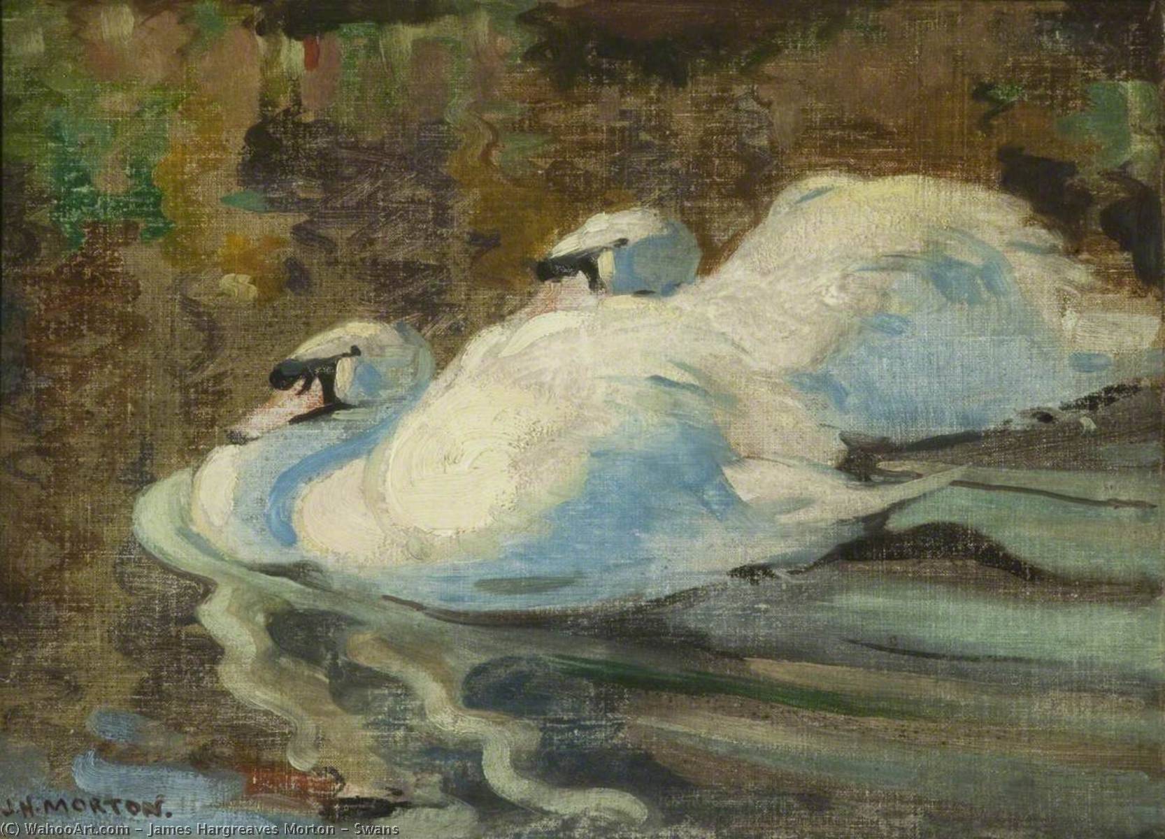 Swans — James Hargreaves Morton