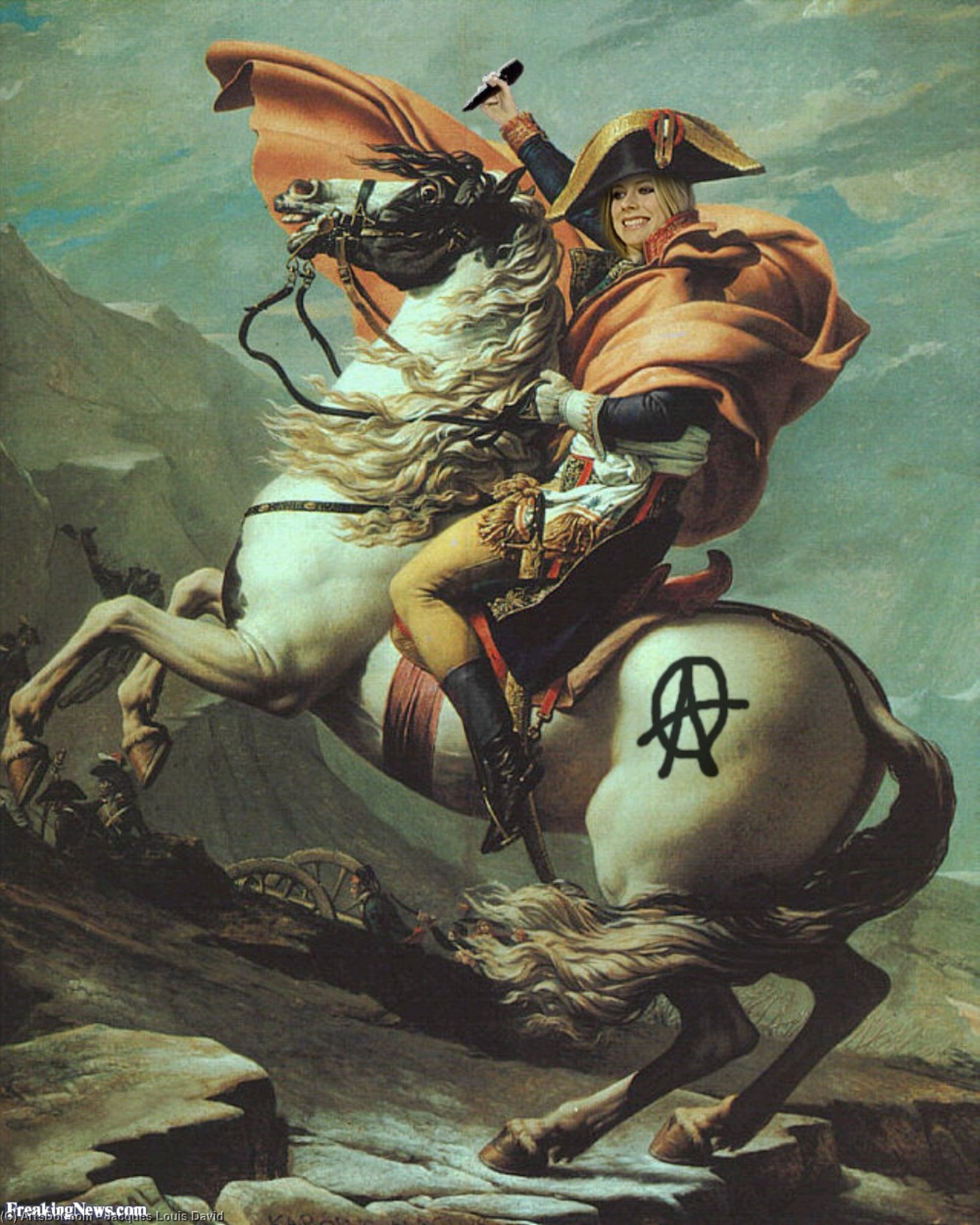 St Bernard — Давид