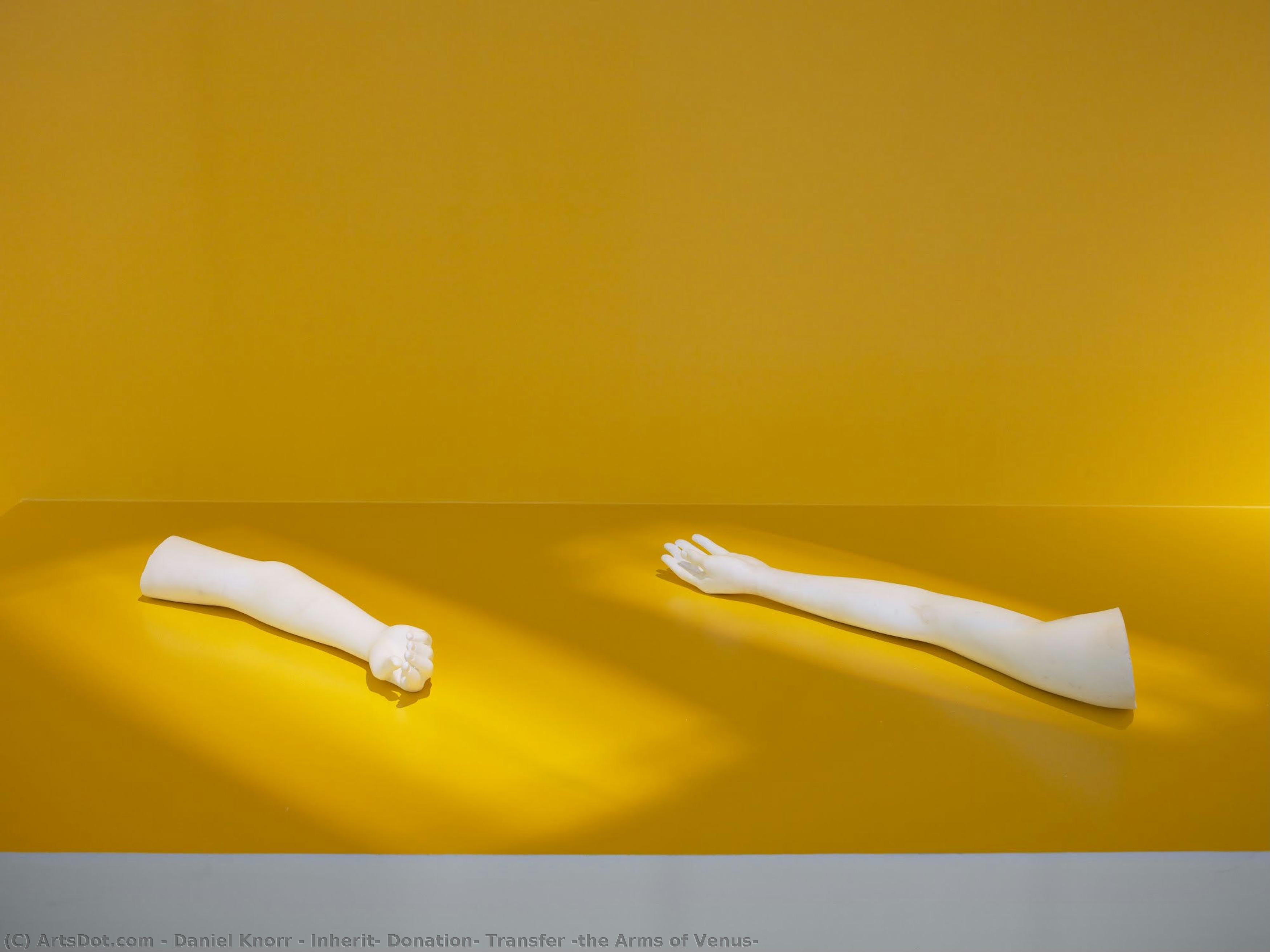 Inherit, Donation, Transfer (the Arms Of Venus) — Daniel Knorr