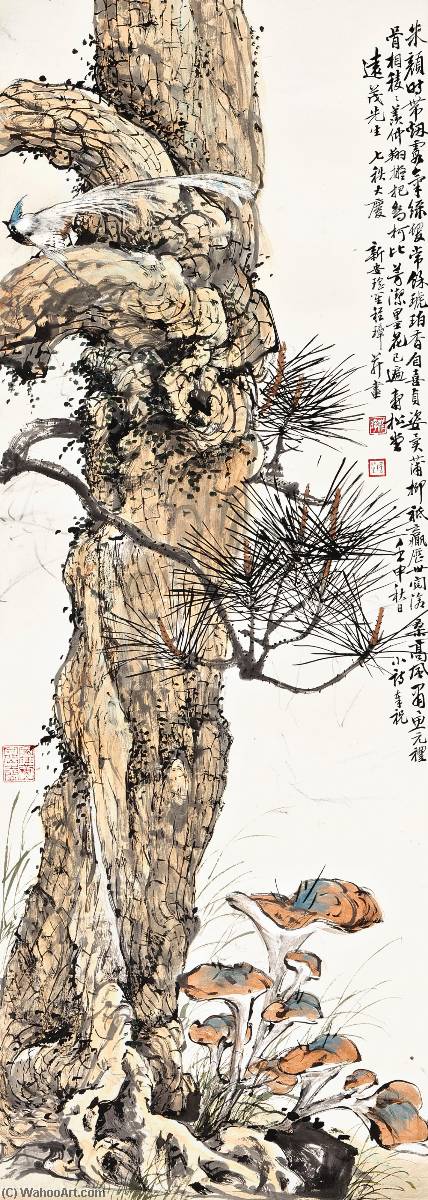 Longevity — Cheng Zhang