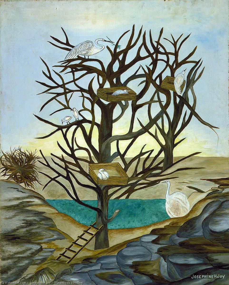 Waterbirds Nesting — Josephine Joy