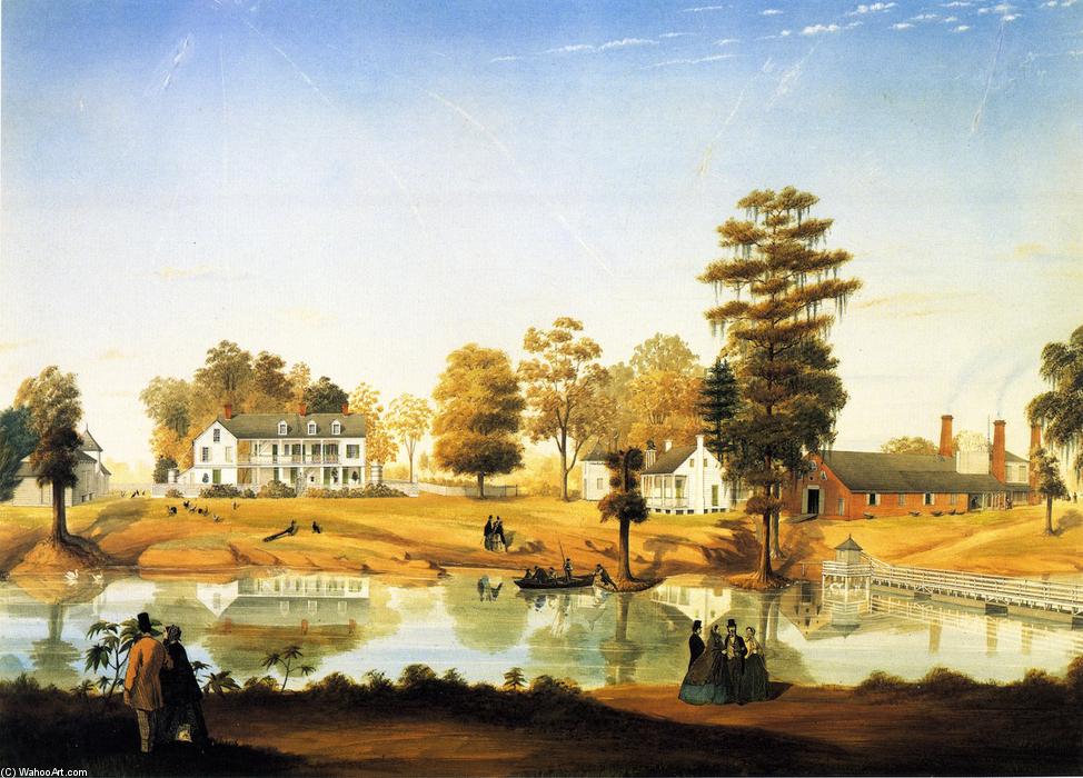 Orange Grove (also Known As Olivier Plantation) — Marie Adrien Persac