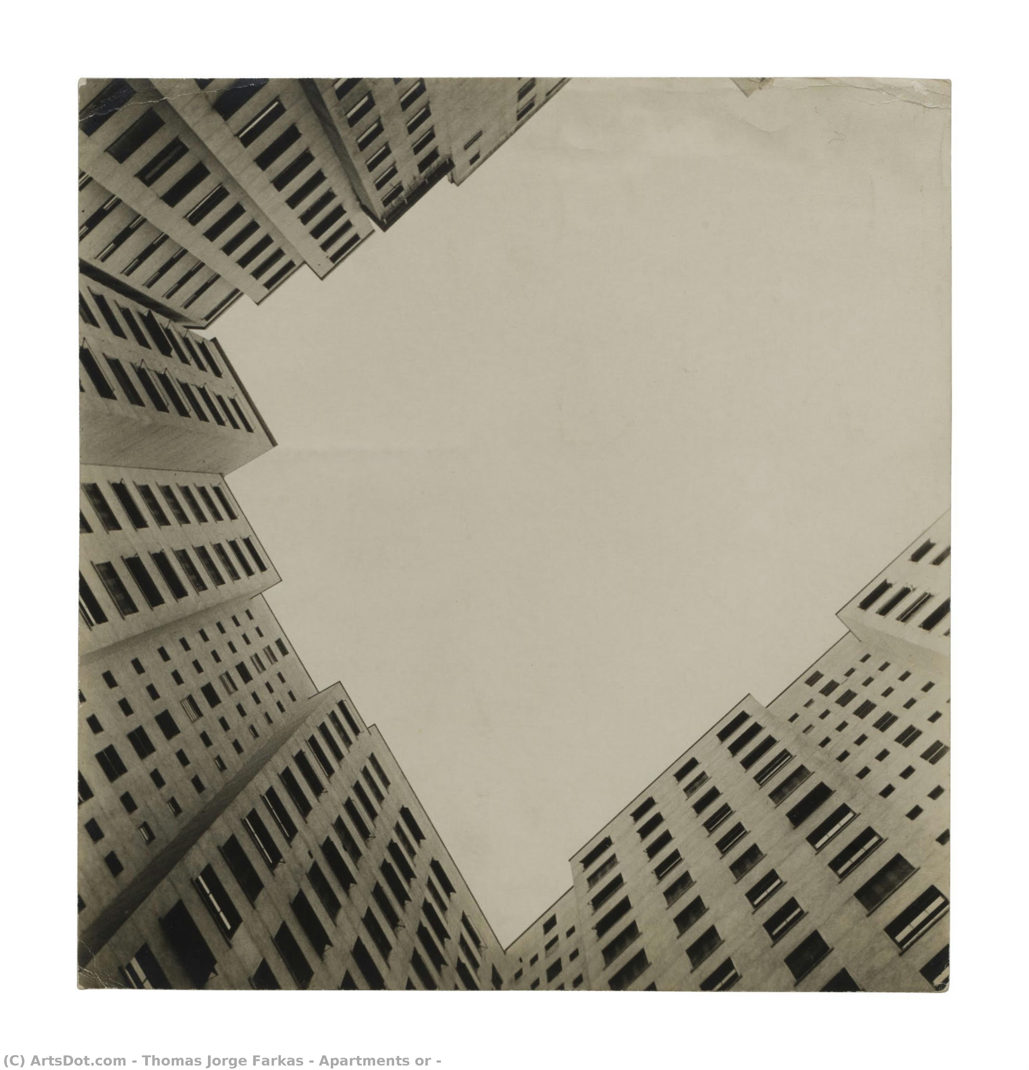 Apartments Or — Thomas Jorge Farkas