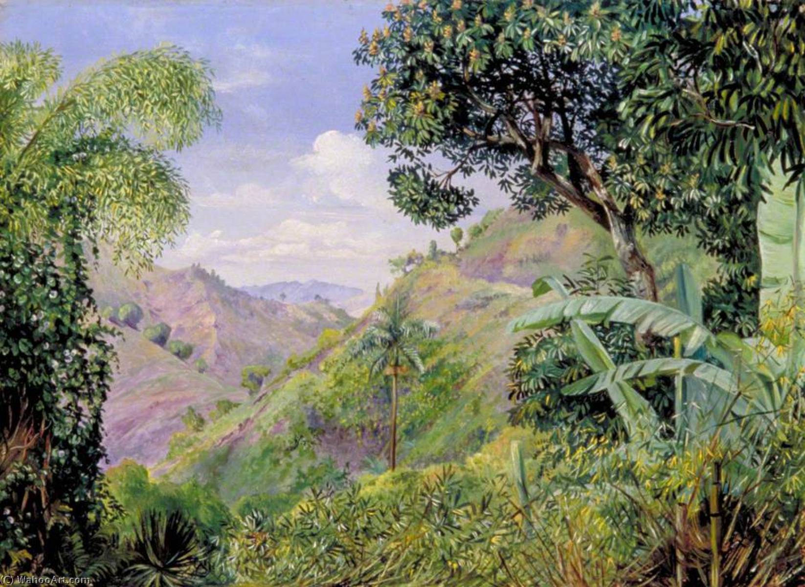 View On The Flamsted Road, Jamaica — Marijana Nort