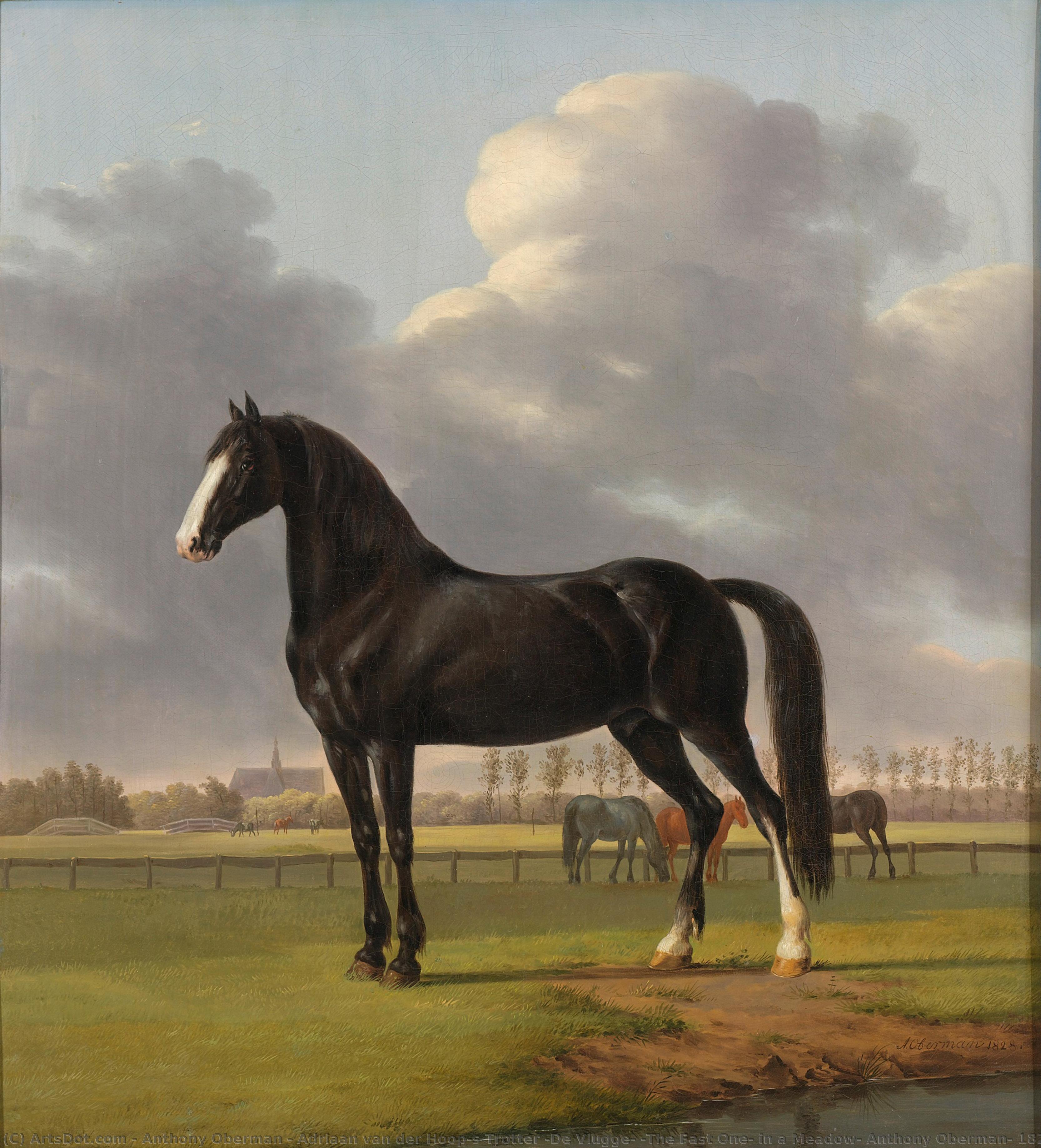 Adriaan Van Der Hoop’s Trotter ‘de Vlugge’ (the Fast One) In A Meadow, Anthony Oberman, 1828 — Anthony Oberman