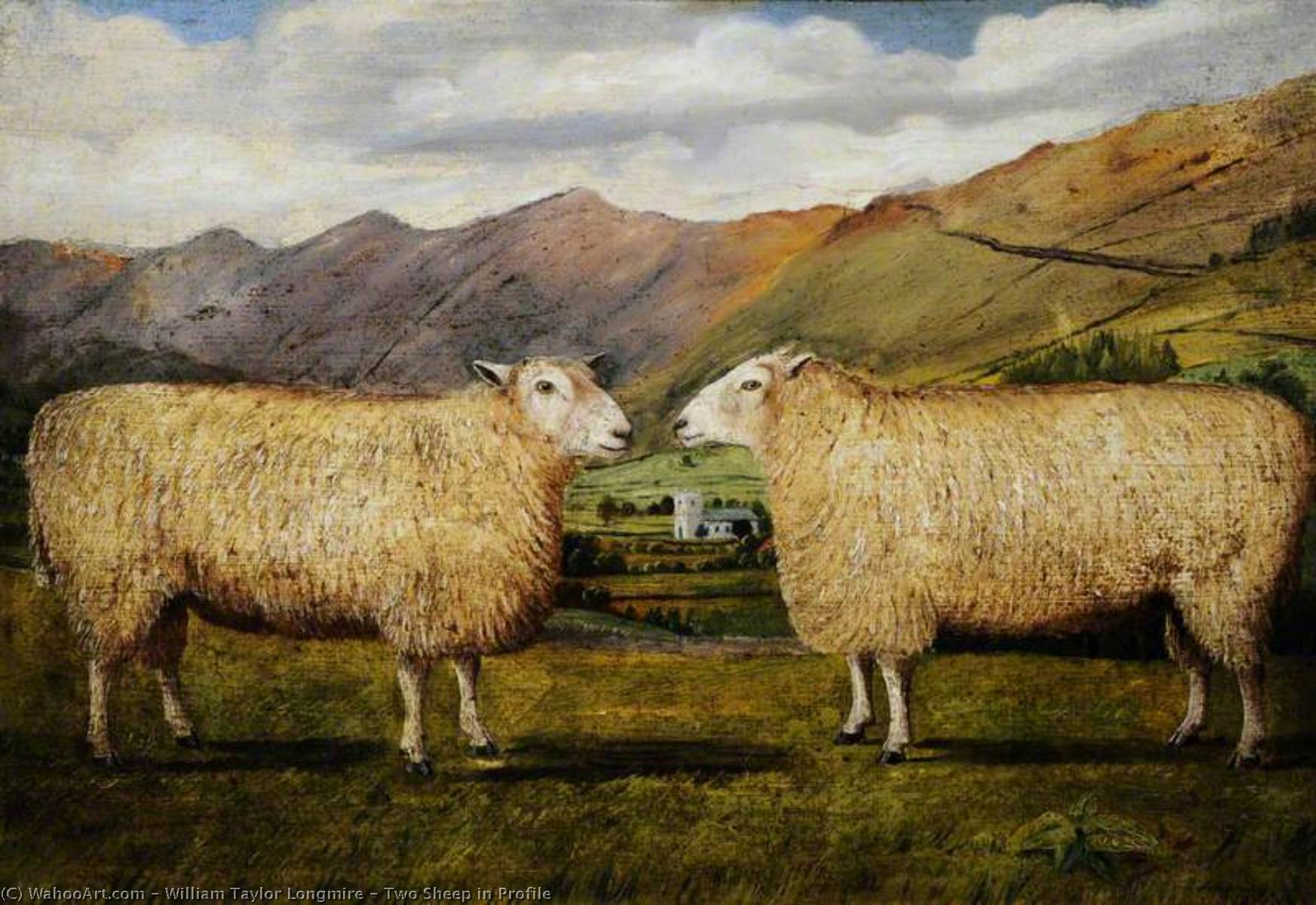 Two Sheep In Profile — William Taylor Longmire