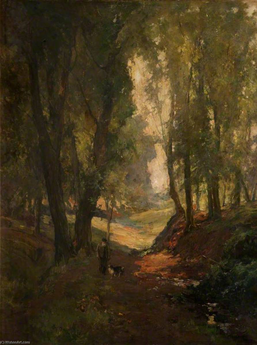 Sunshine, Lagan Woods — William Gibbes Mackenzie