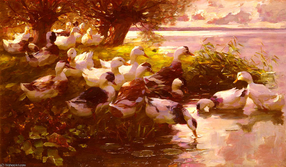Ducks On A Lake — Alexander Max Koeste