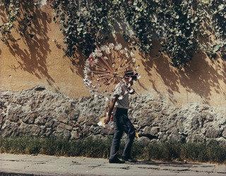 The Pinwheels — Manuel Álvarez Bravo
