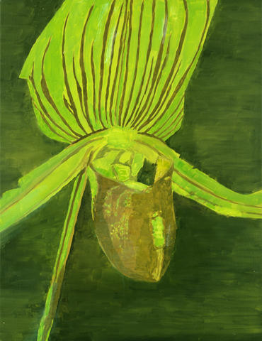 Orchid — Лу́к Туйманс