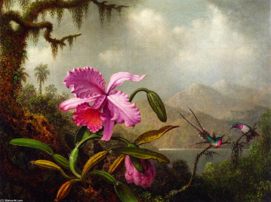 Orchids And Hummingbirds Near A Mountain Lake — Martin Johnson Heade