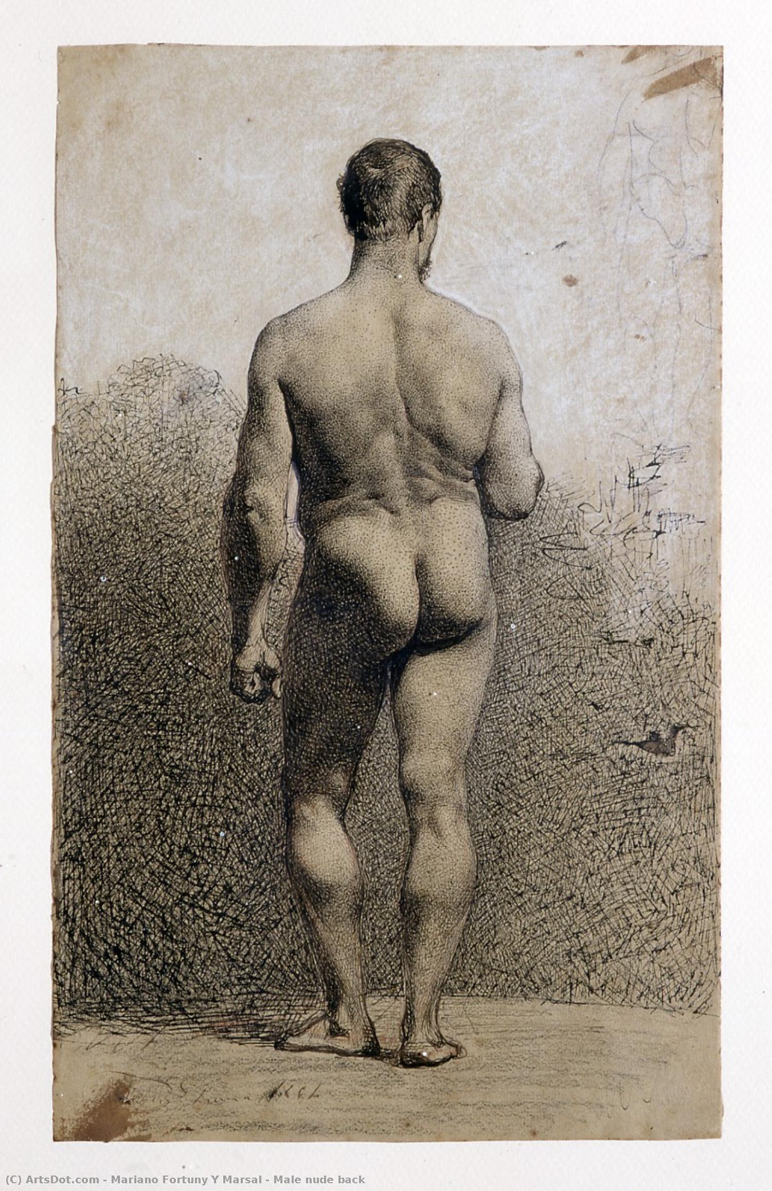 Male Nude Back — Mariano Fortuny Y Marsal