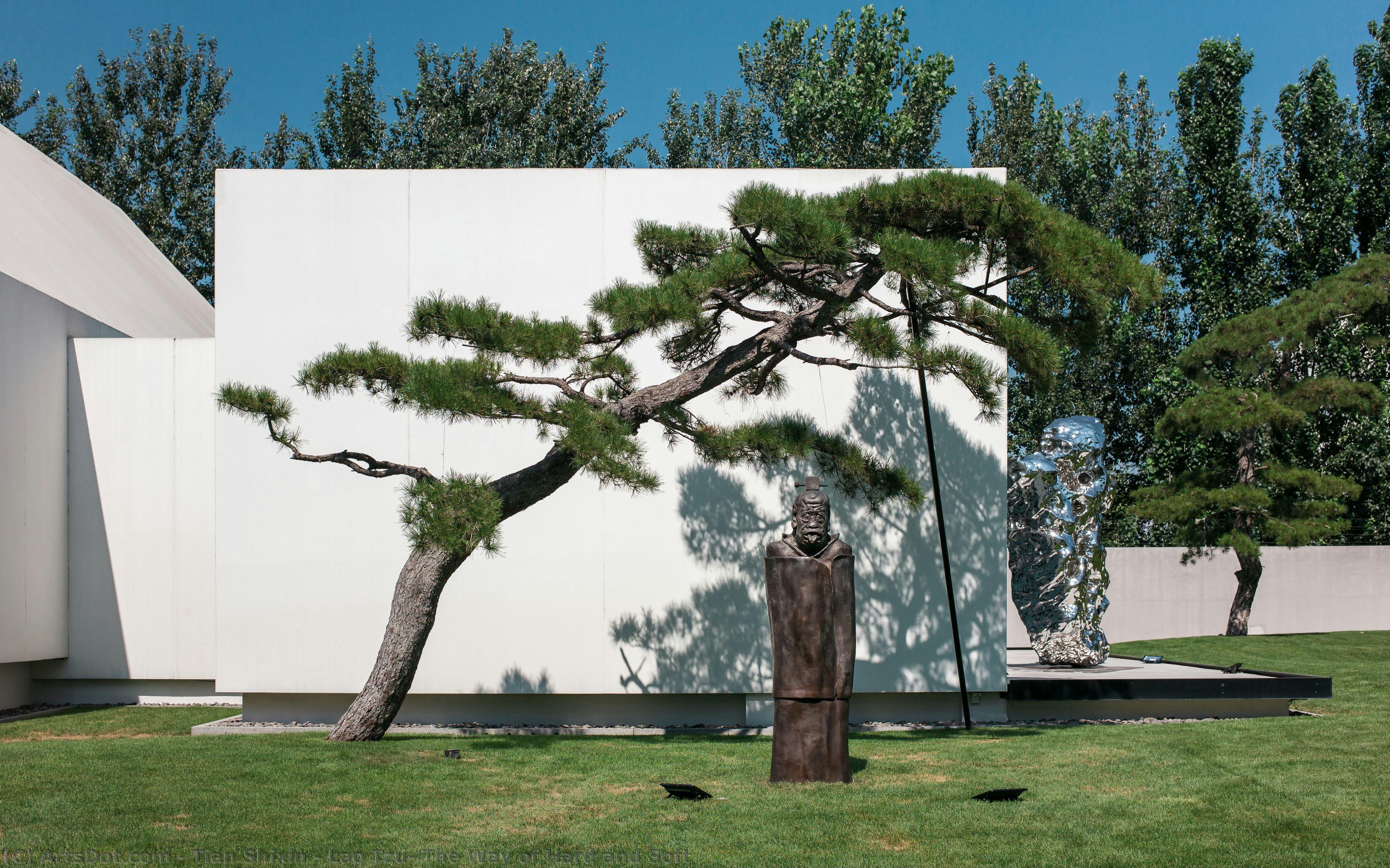 Lao Tzu: The Way Of Hard And Soft — Tian Shixin