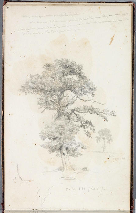 Study, Tree 7 — Thomas Cole