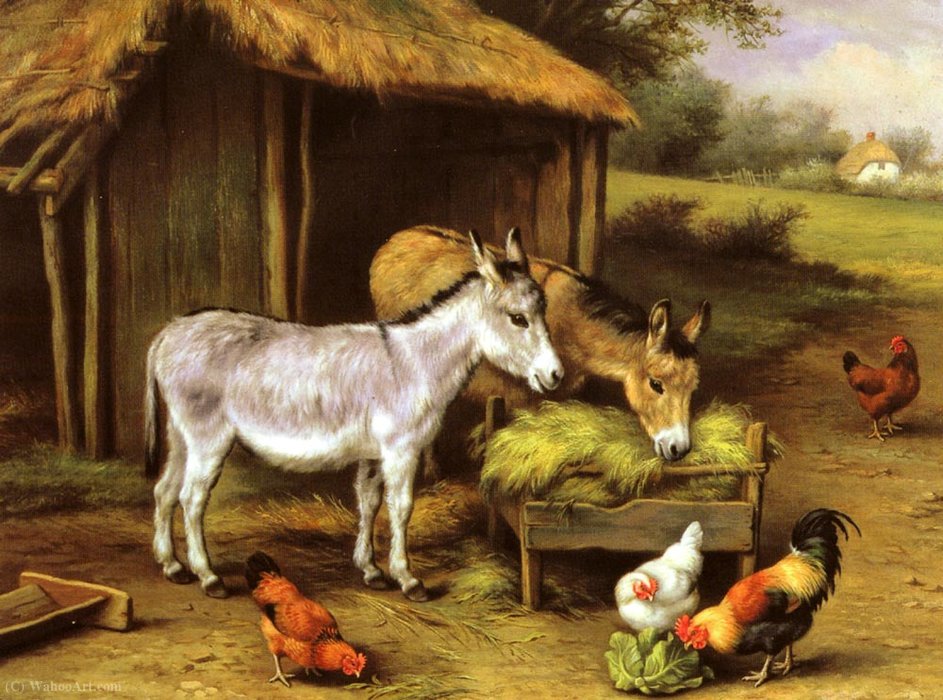 Chickens And Donkeys Feeding Outside A Barn — Edgar Hunt