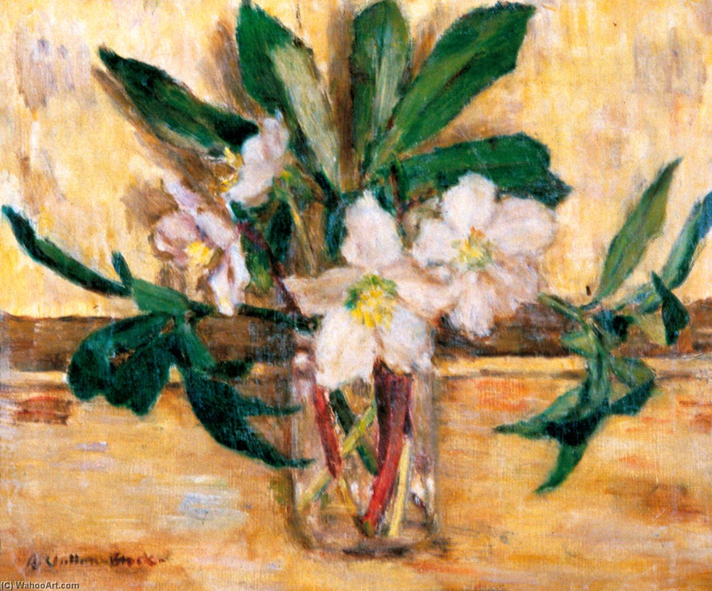 Christmas Roses — Alan Francis Clutton Brock