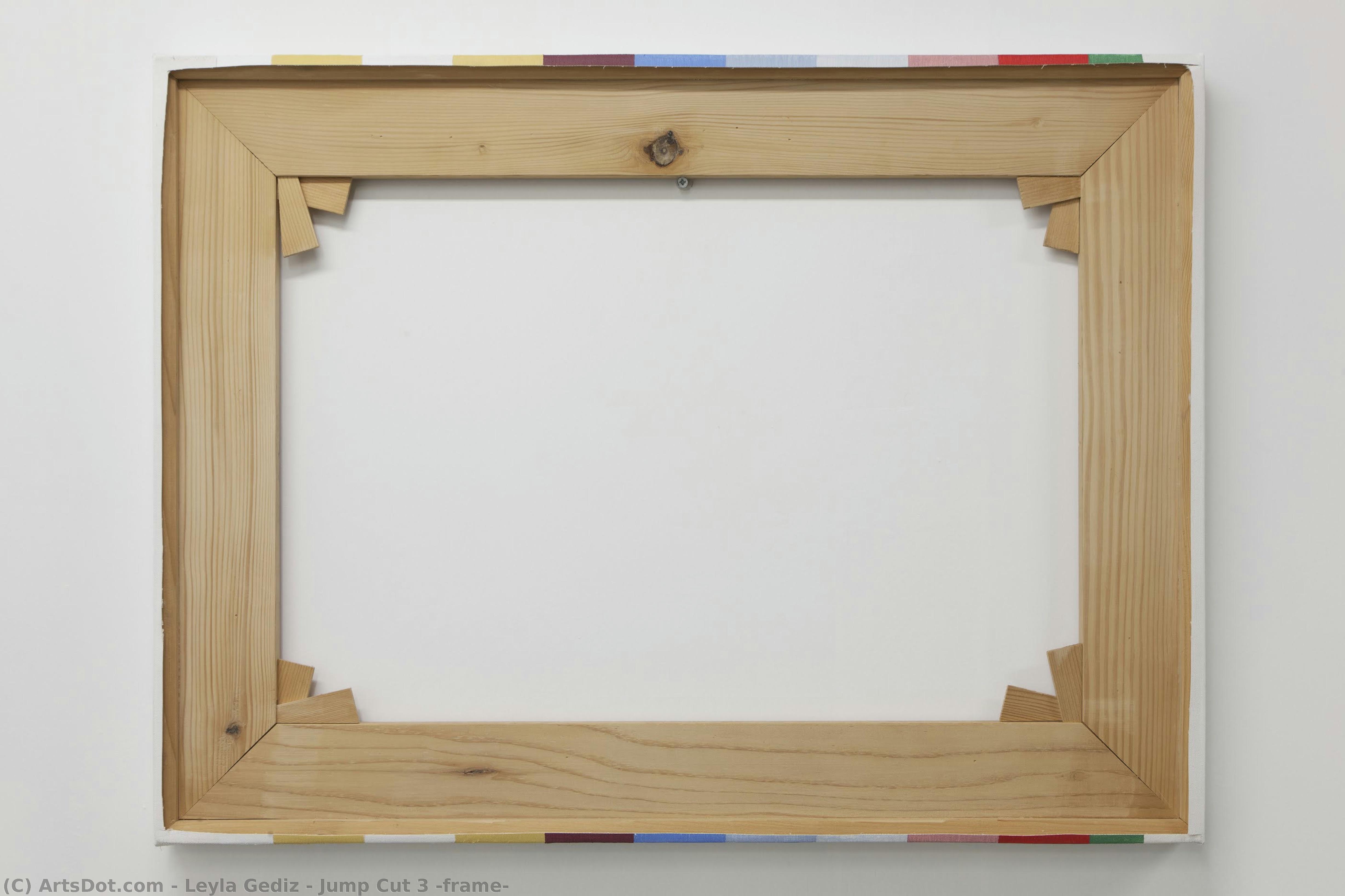 Jump Cut 3 (frame) — Leyla Gediz
