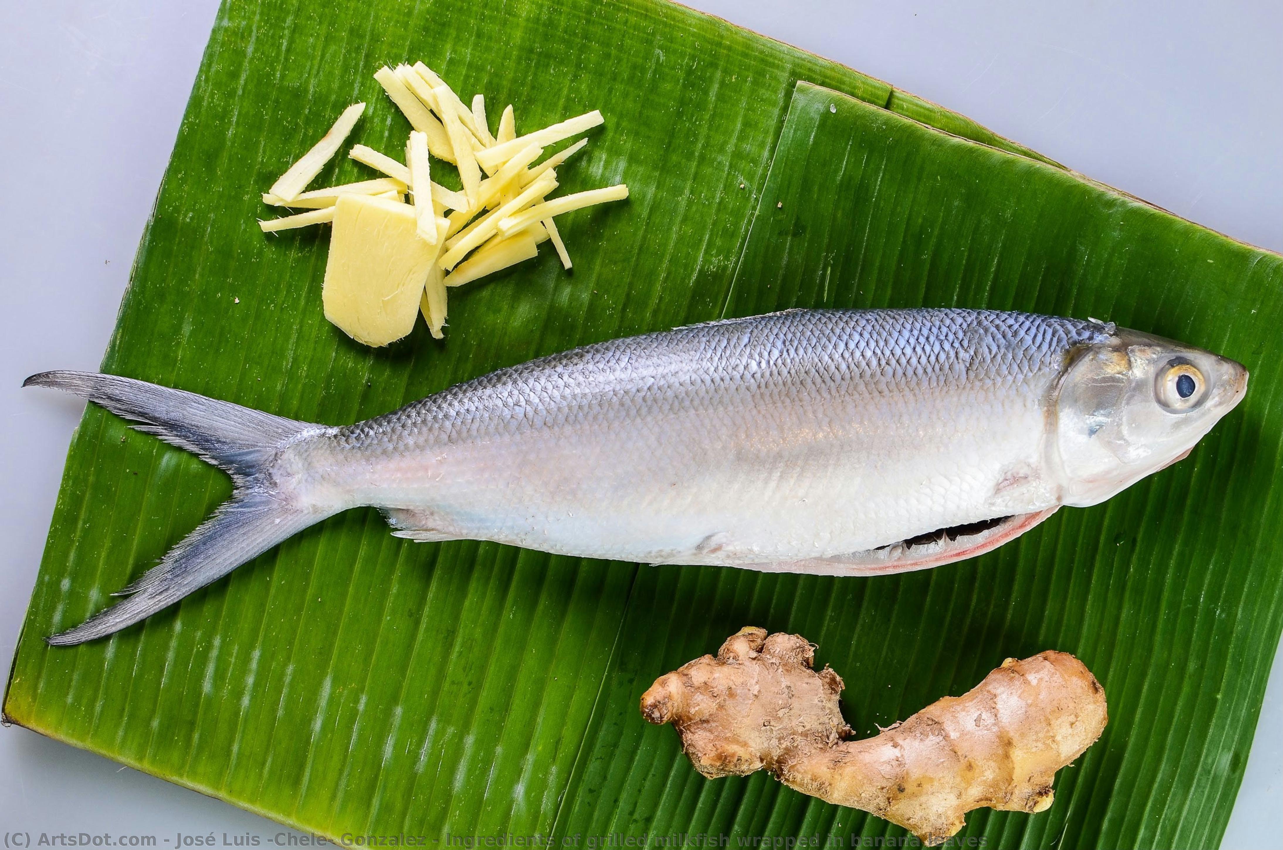 Ingredients Of Grilled Milkfish Wrapped In Banana Leaves — José Luis "chele" Gonzalez