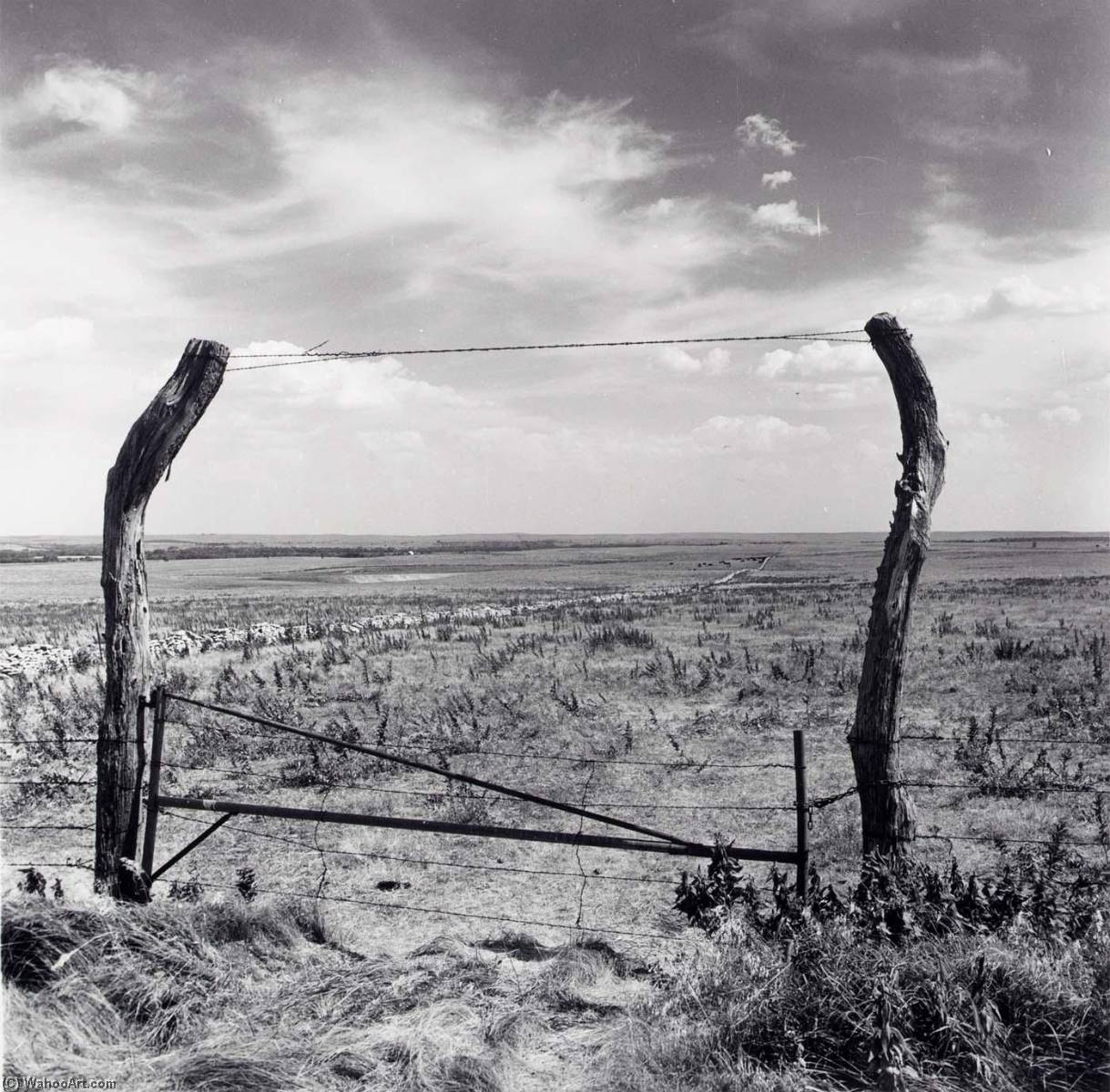 Flint Hills, Marion County, From The Kansas Documentary Survey Project — Larry W Schwarm