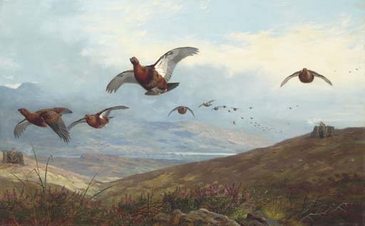 Grouse Shooting — Archibald Thorburn
