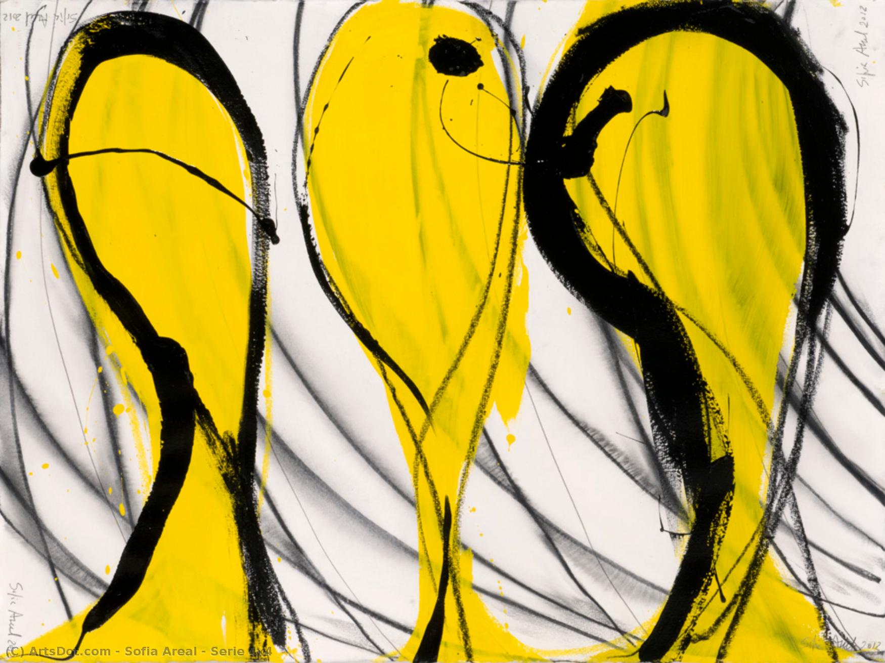Serie 4x4 — Sofia Areal