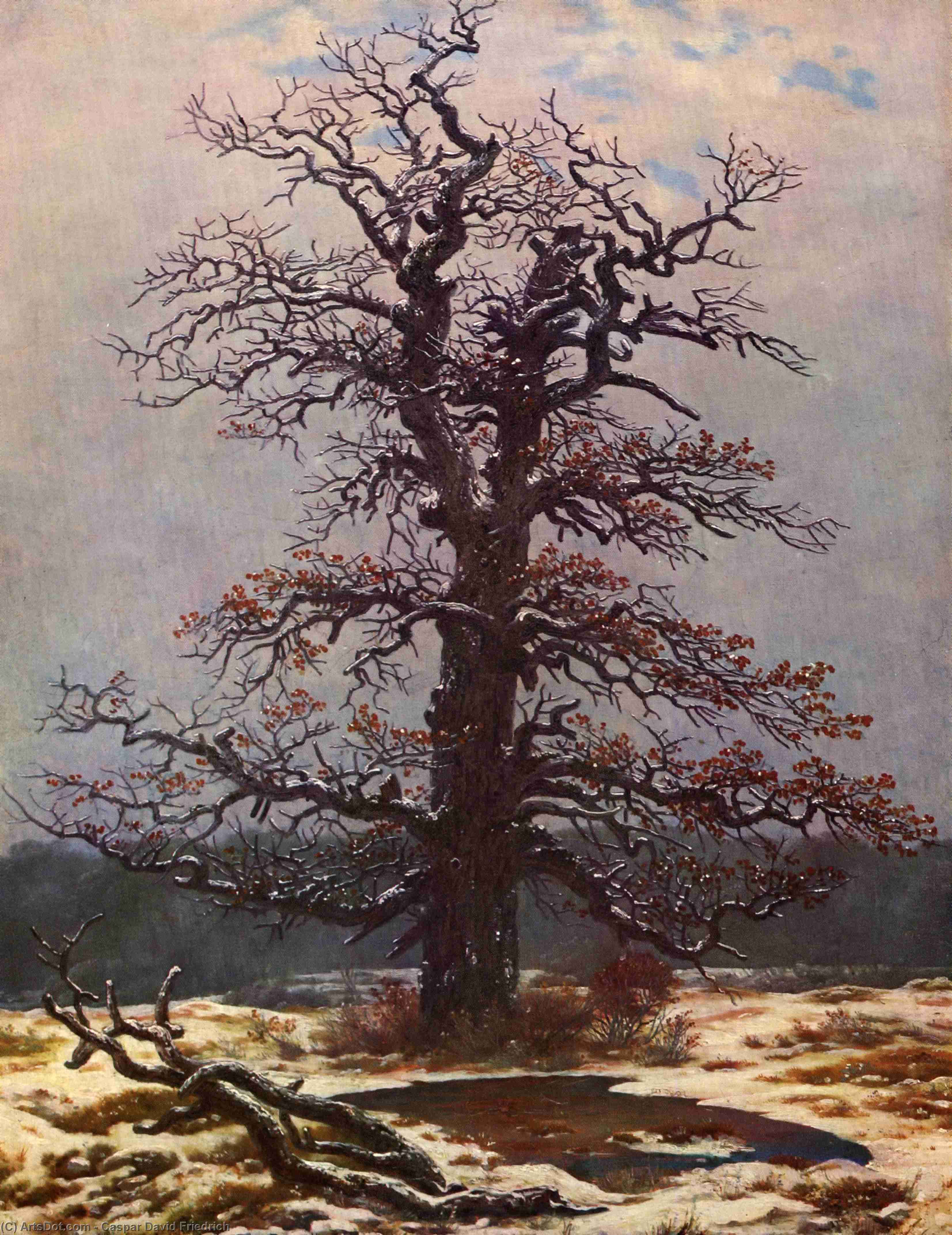 Oak Tree In The Snow — Caspar David Friedrich