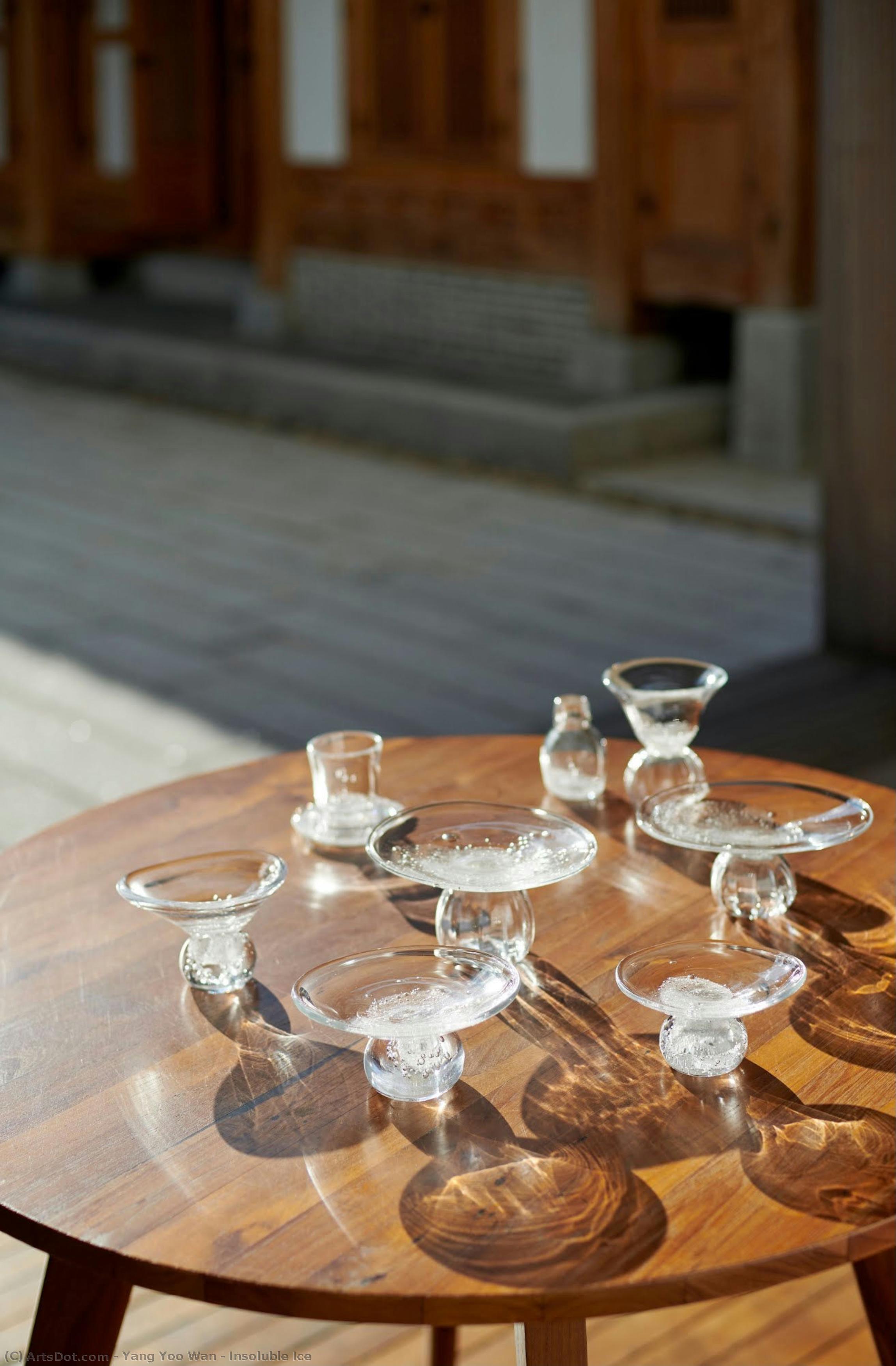 Insoluble Ice — Yang Yoo Wan