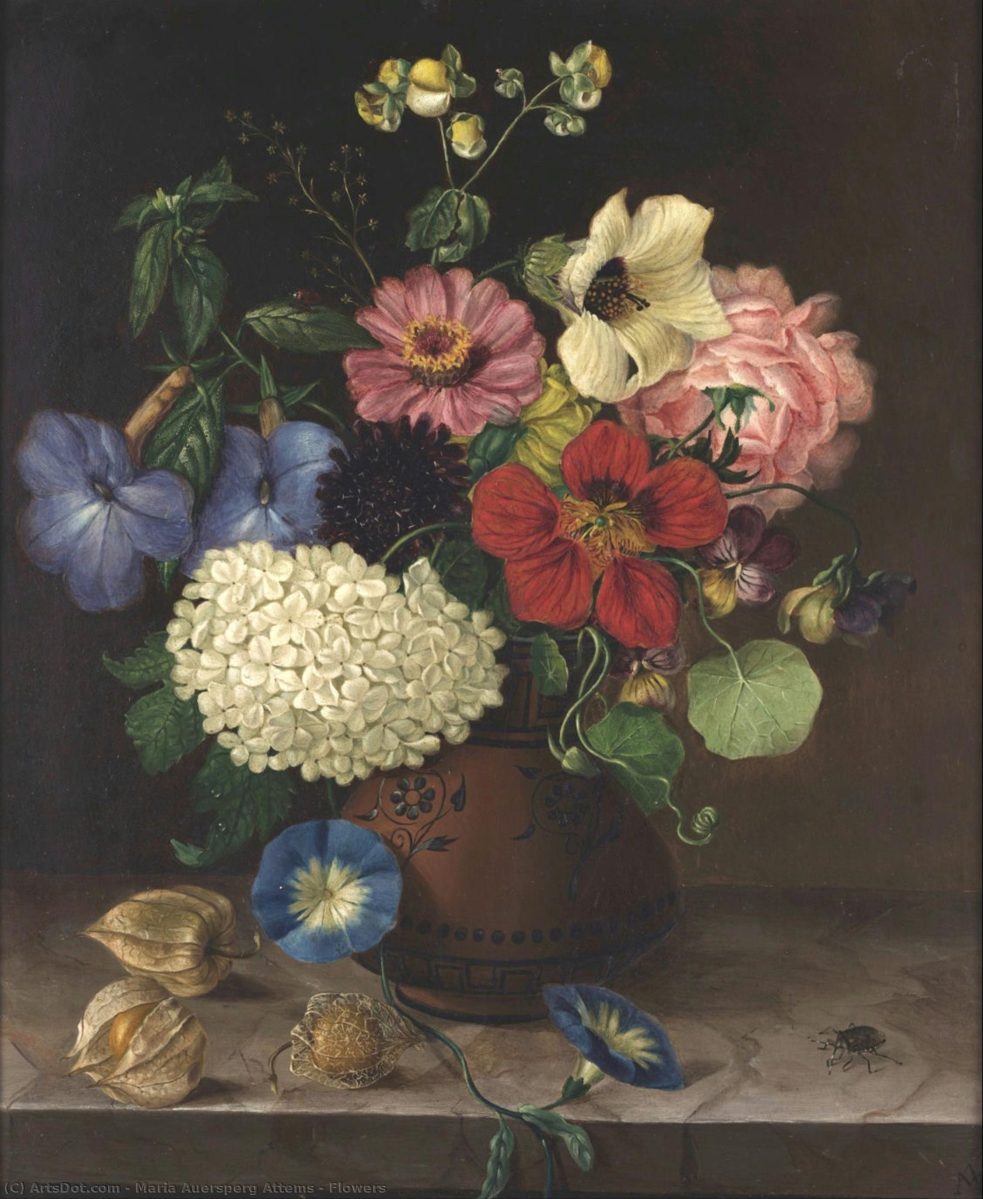 Flowers — Maria Auersperg Attems