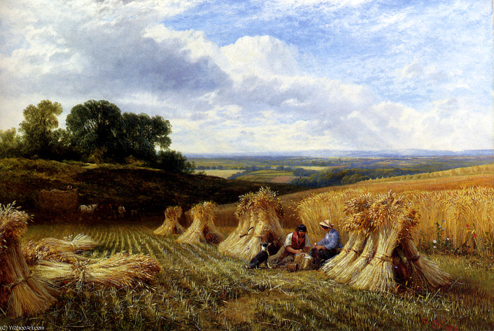 Harvest Field — George Cole Senior