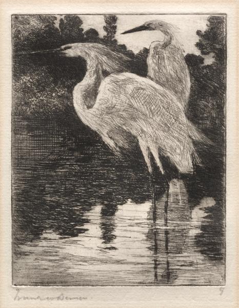 Snowy Herons — Фрэнк Вестон Бэнсон