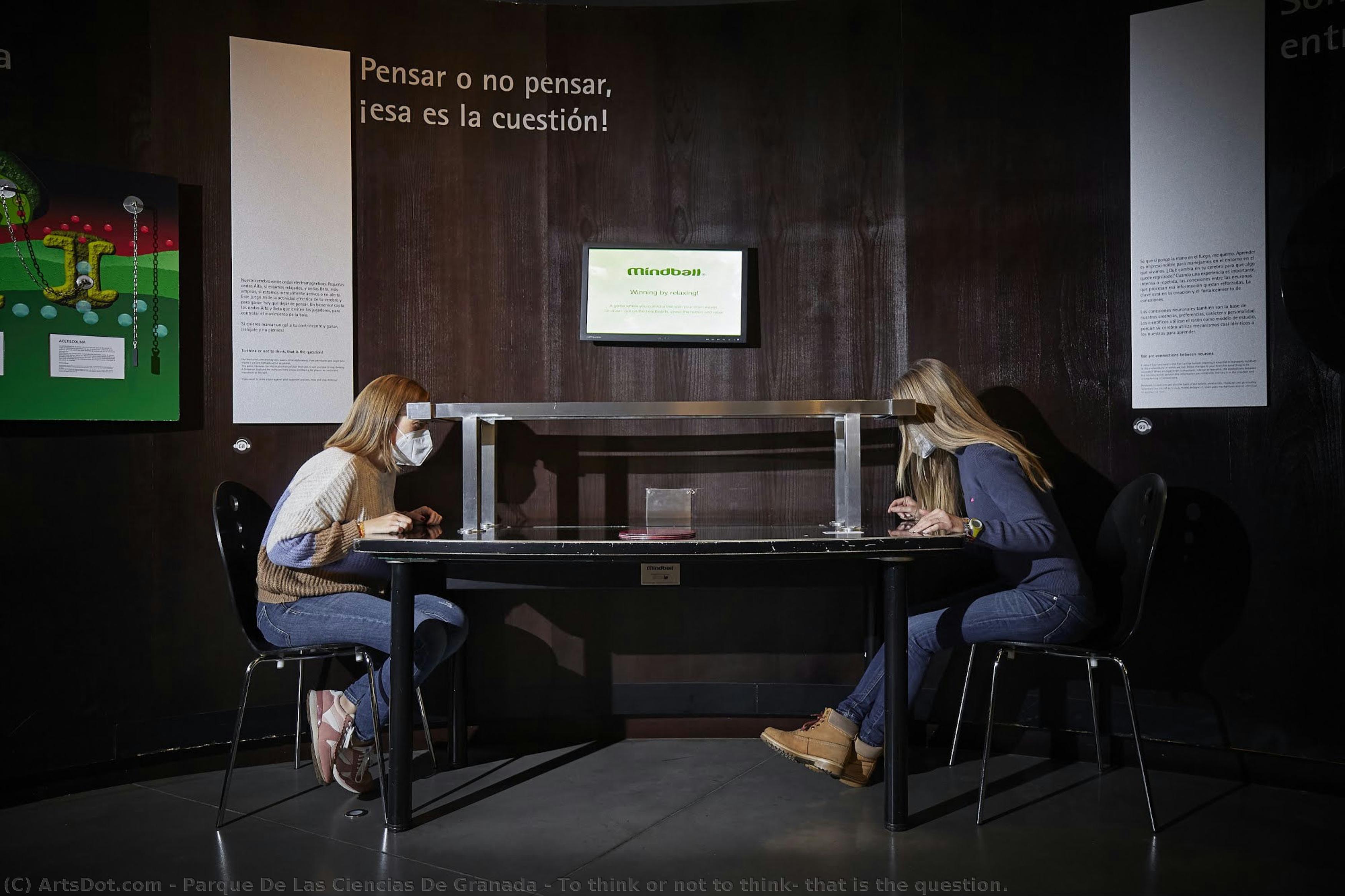 To Think Or Not To Think, That Is The Question. — Parque De Las Ciencias De Granada