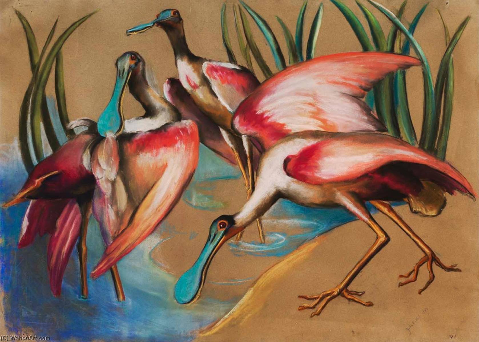Roseate Spoonbills — Джулия Экл