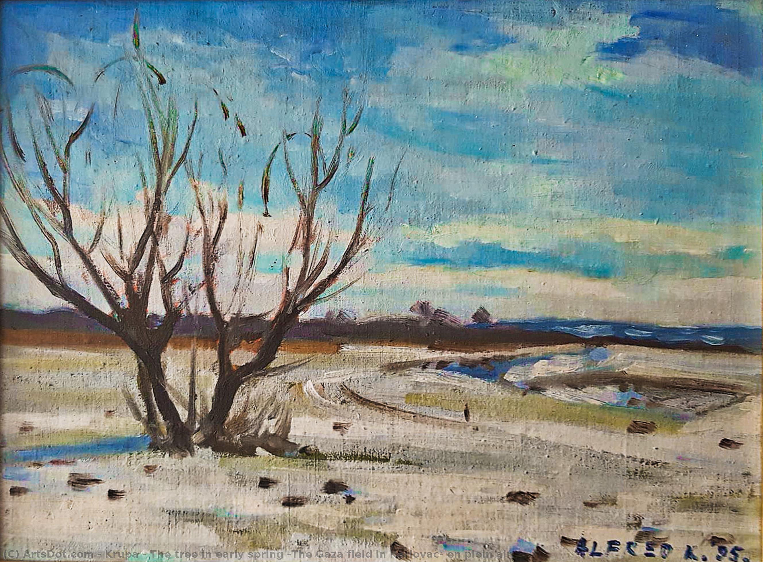 The Tree In Early Spring (the Gaza Field In Karlovac) En Plein Air — Krupa